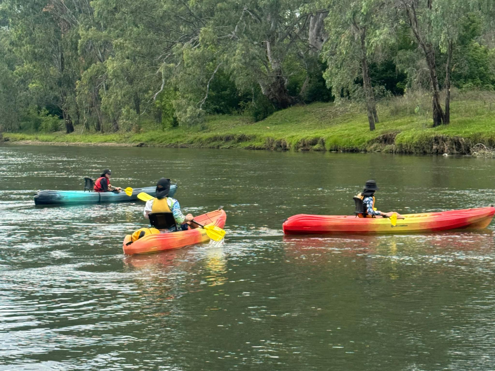The Murray at doctors point