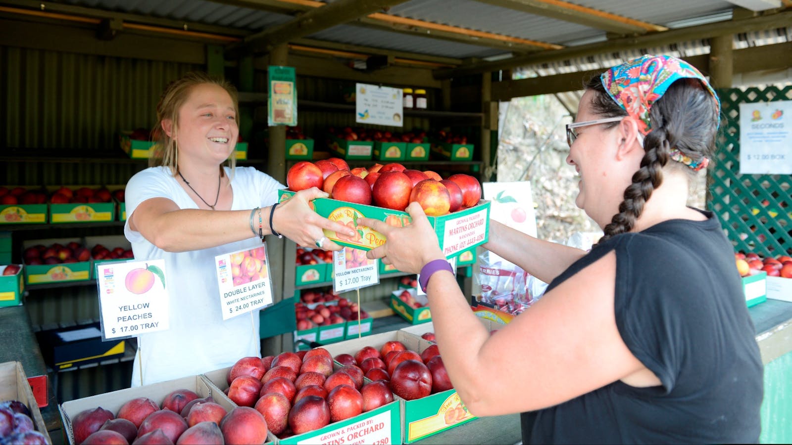 Martin's Orchard Peaches Wandandian