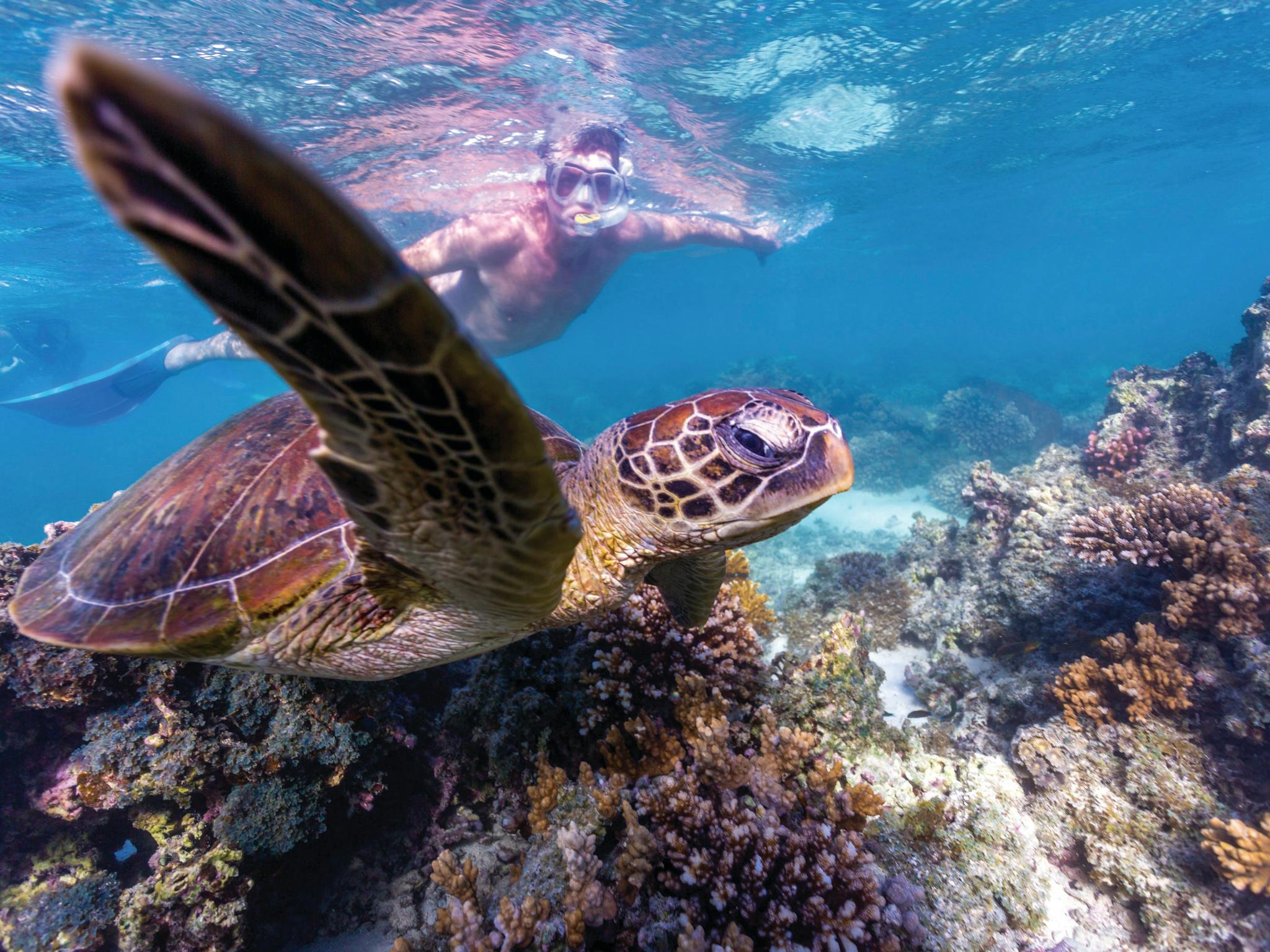 Best of the Coral Coast, Western Australia