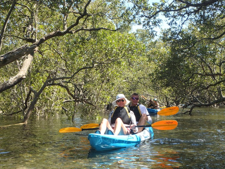 Huskisson Kayak Tour