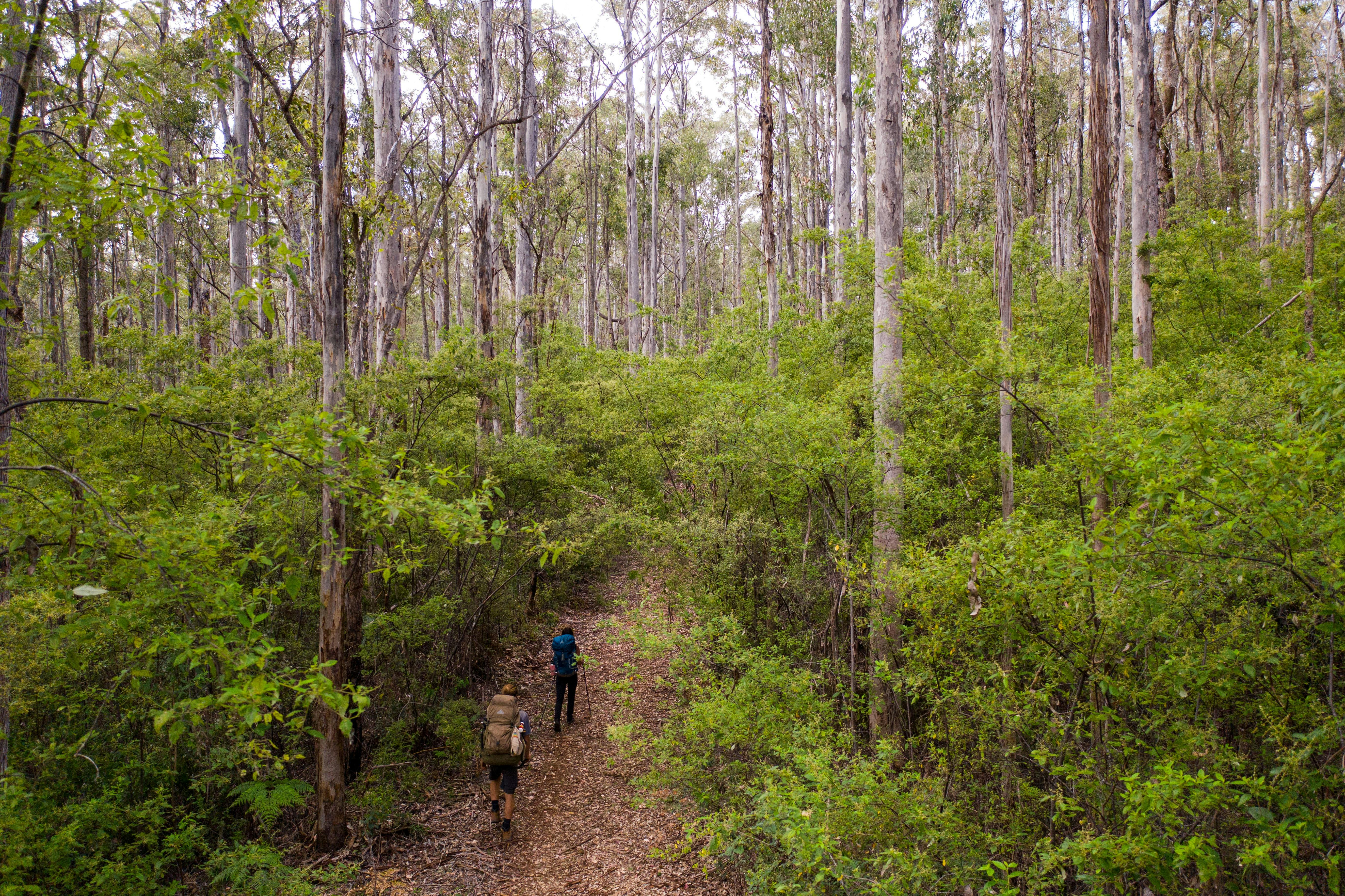 Bibbulmun Track Foundation Guided Tours