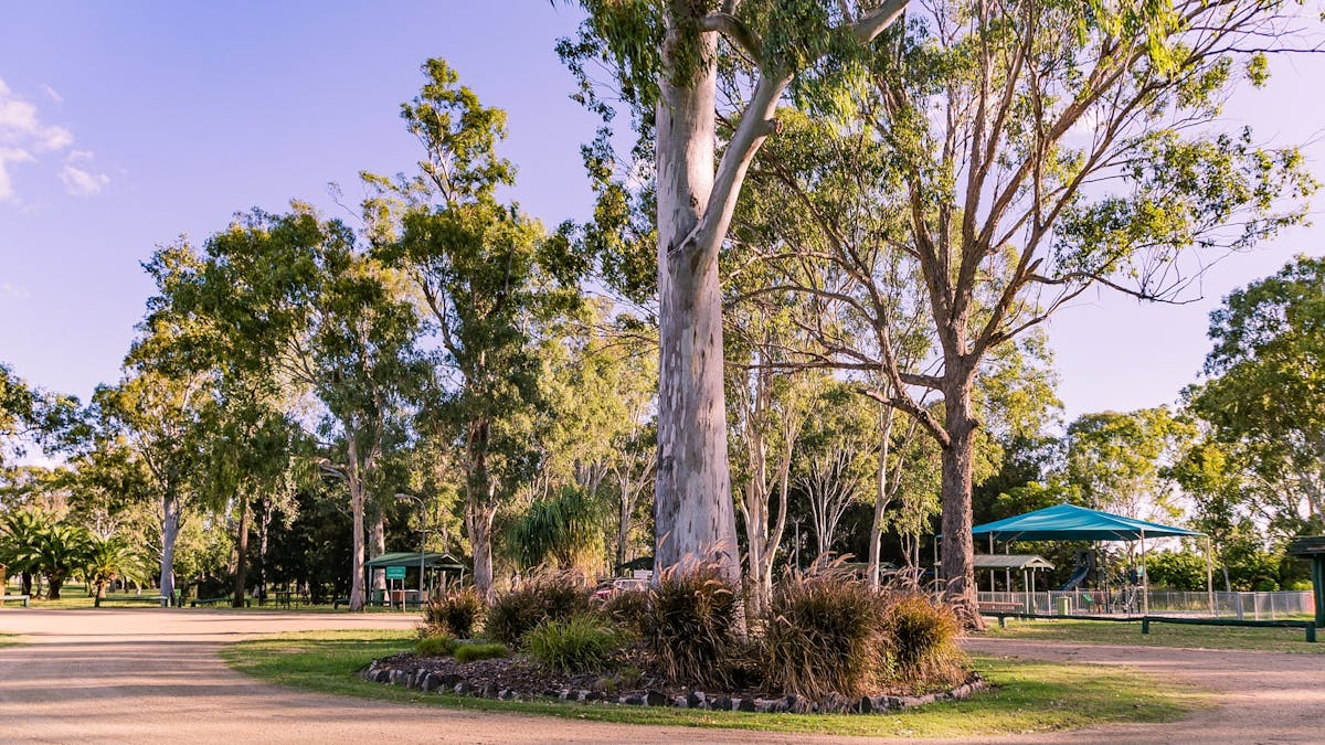 Dingo Creek Park