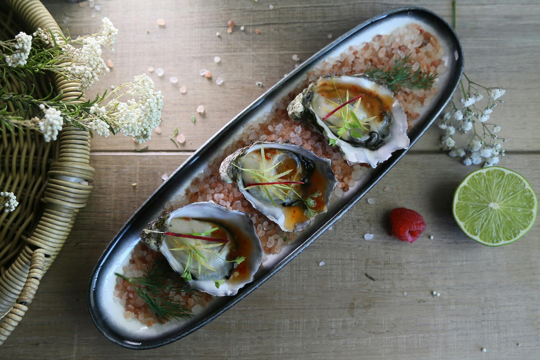 하버 타이의 굴