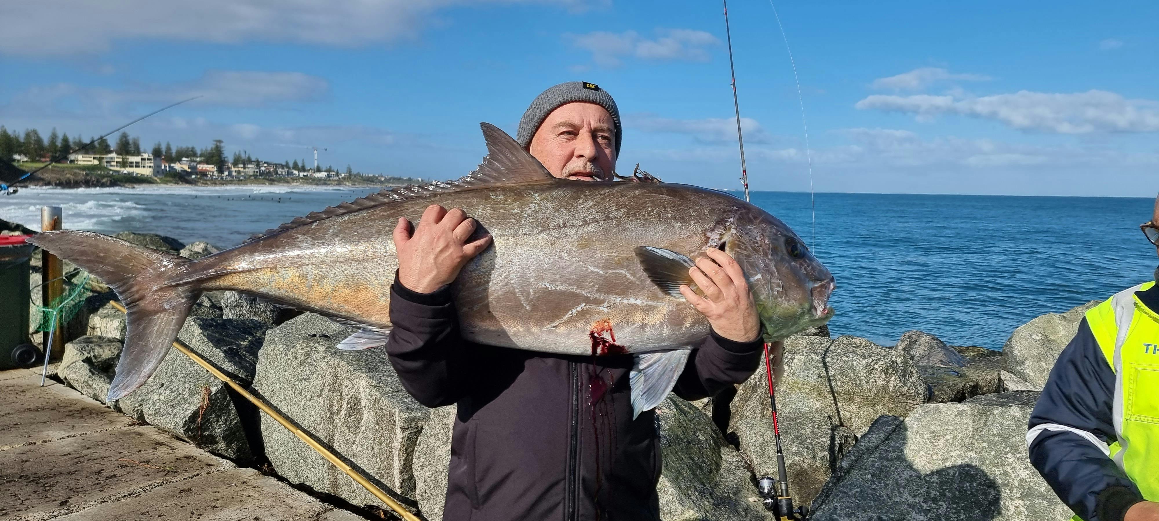 A local 32kg Sambo caught  from the rocks and shared with everyone on the rock wall.