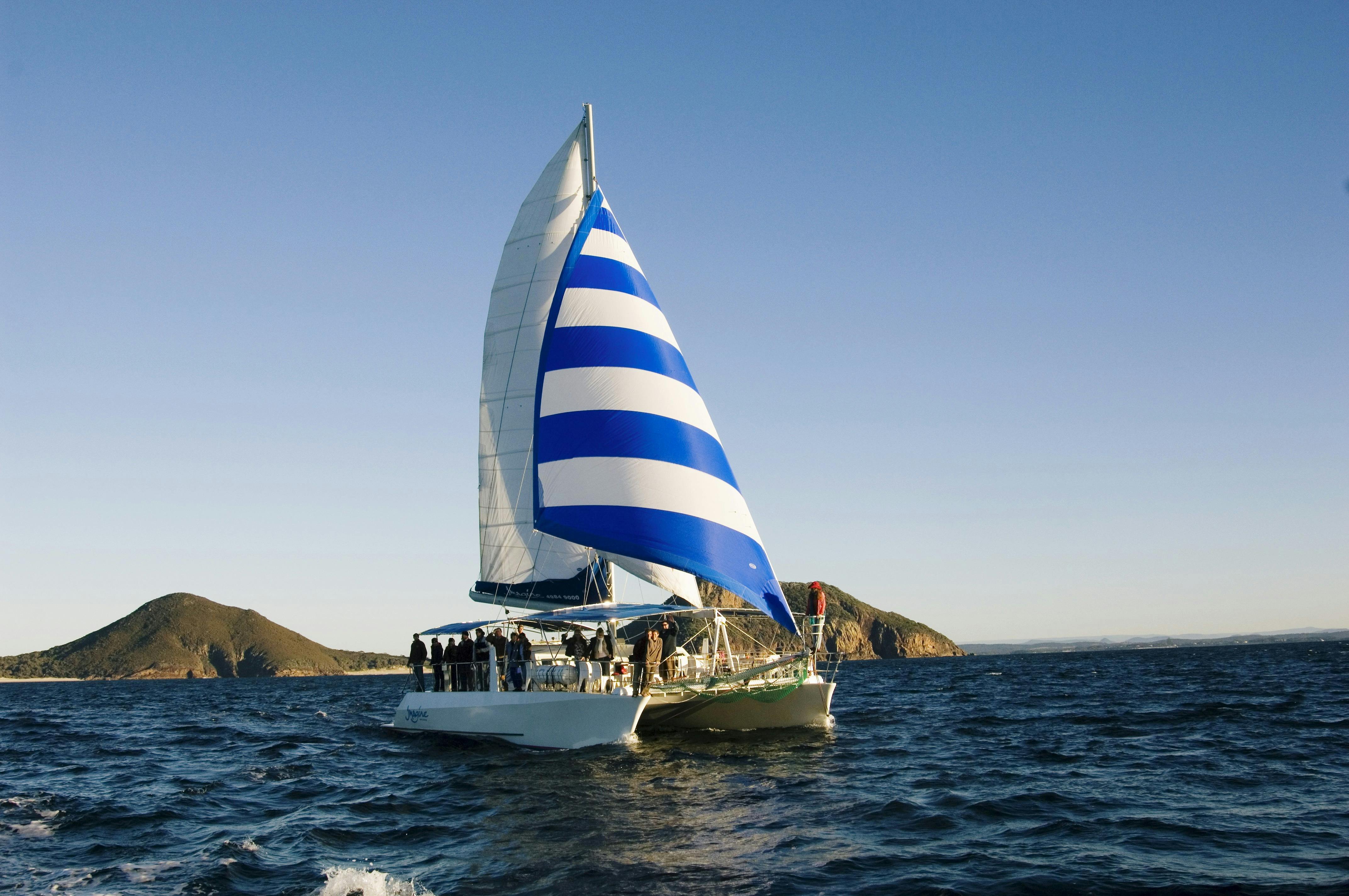 3.5 hours Marine Discovery Swim & Snorkel Cruise