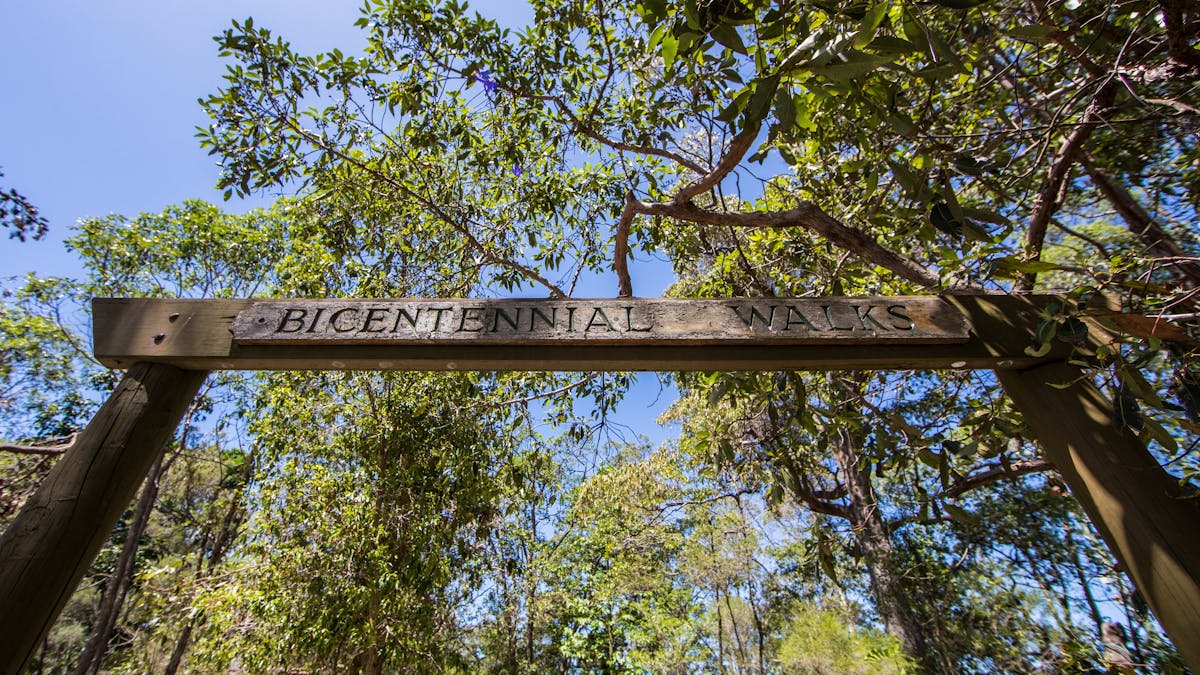 Bicentennial_Walks_Bribie_gate_Moreton_Bay_Region