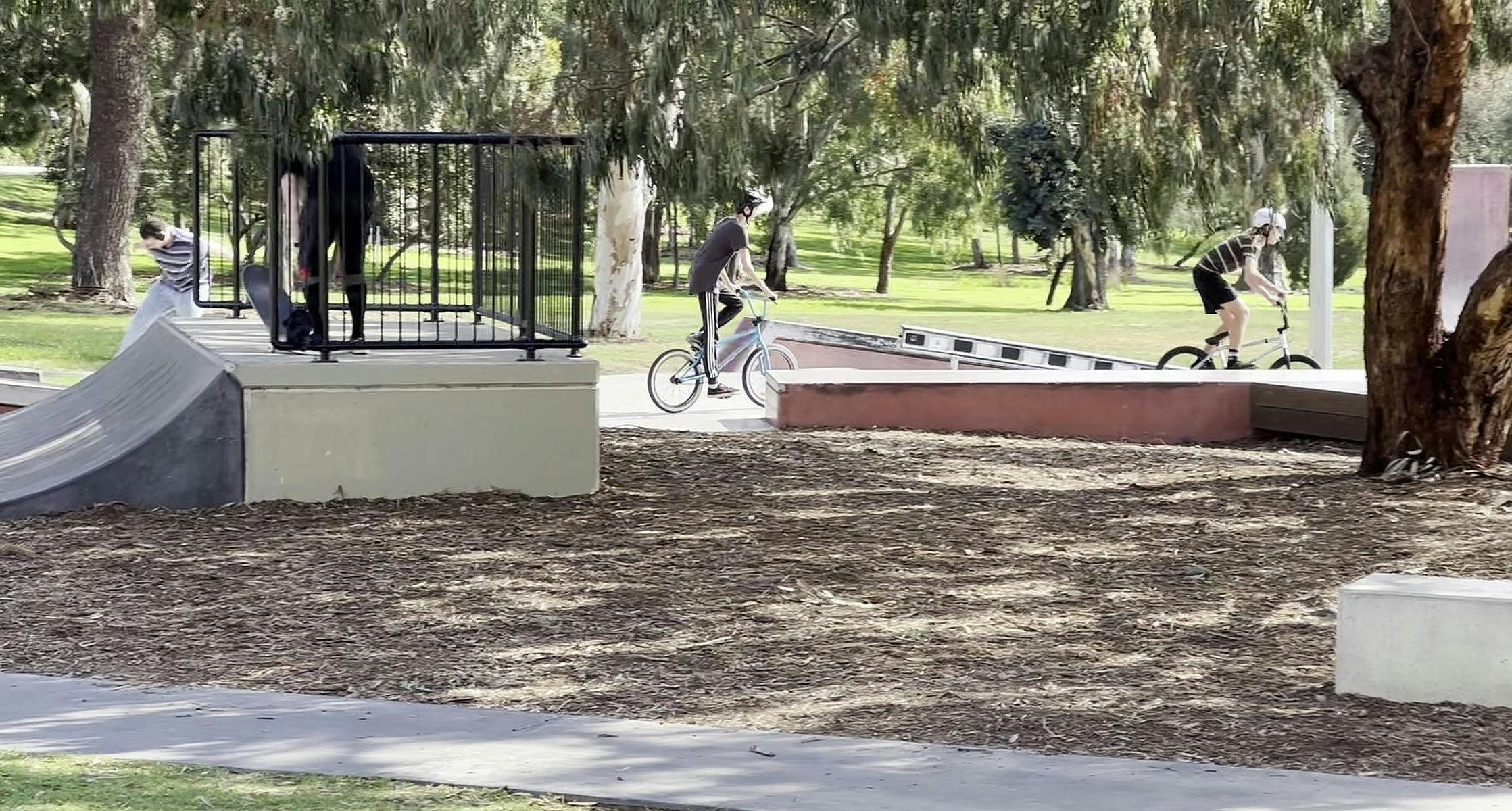 Guided Walk through Gladys Elphick Park / Narnungga (Park 25)