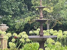 back fountain
