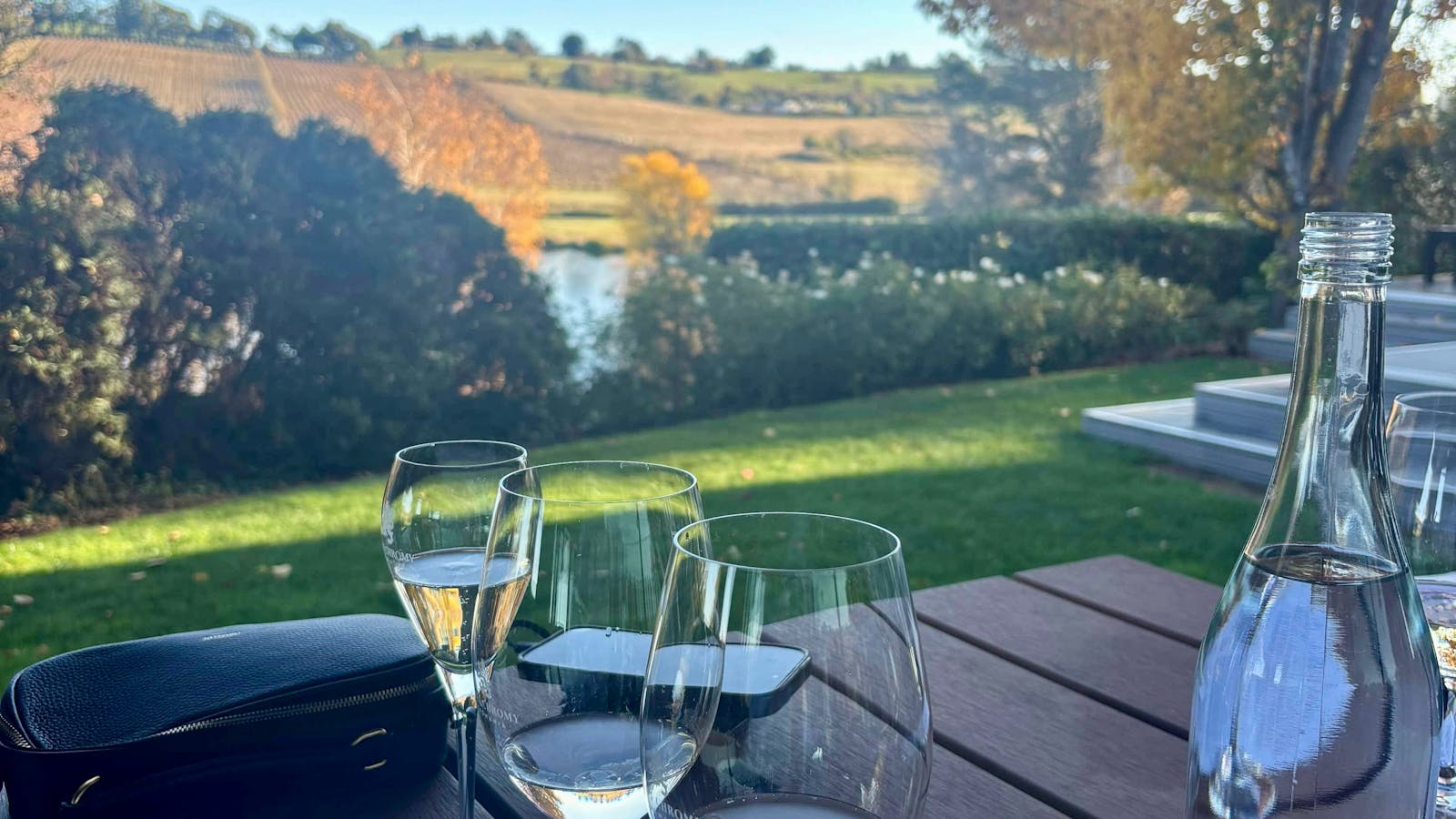 Wine Tasting - Josef Chromy Estate