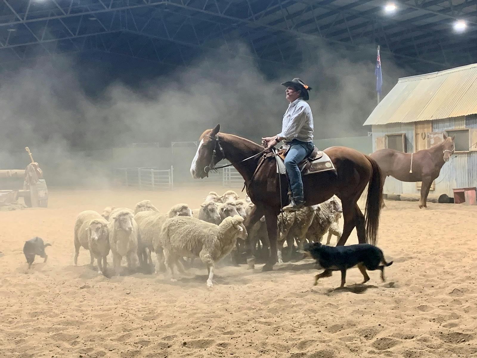 See the Outback Stockmans Show