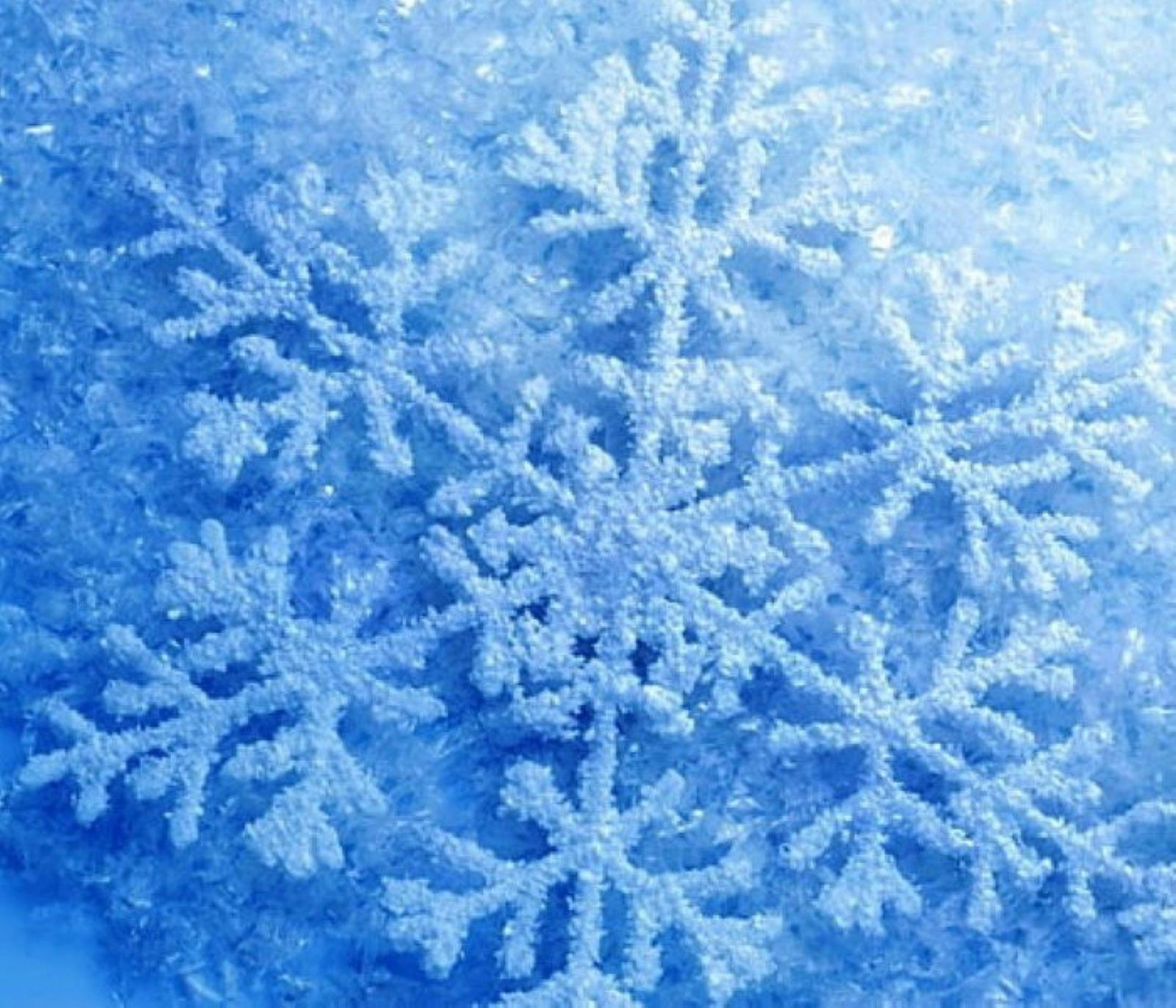 Rocky Hill Musical Theatre Company Presents Disney's Frozen Jr.