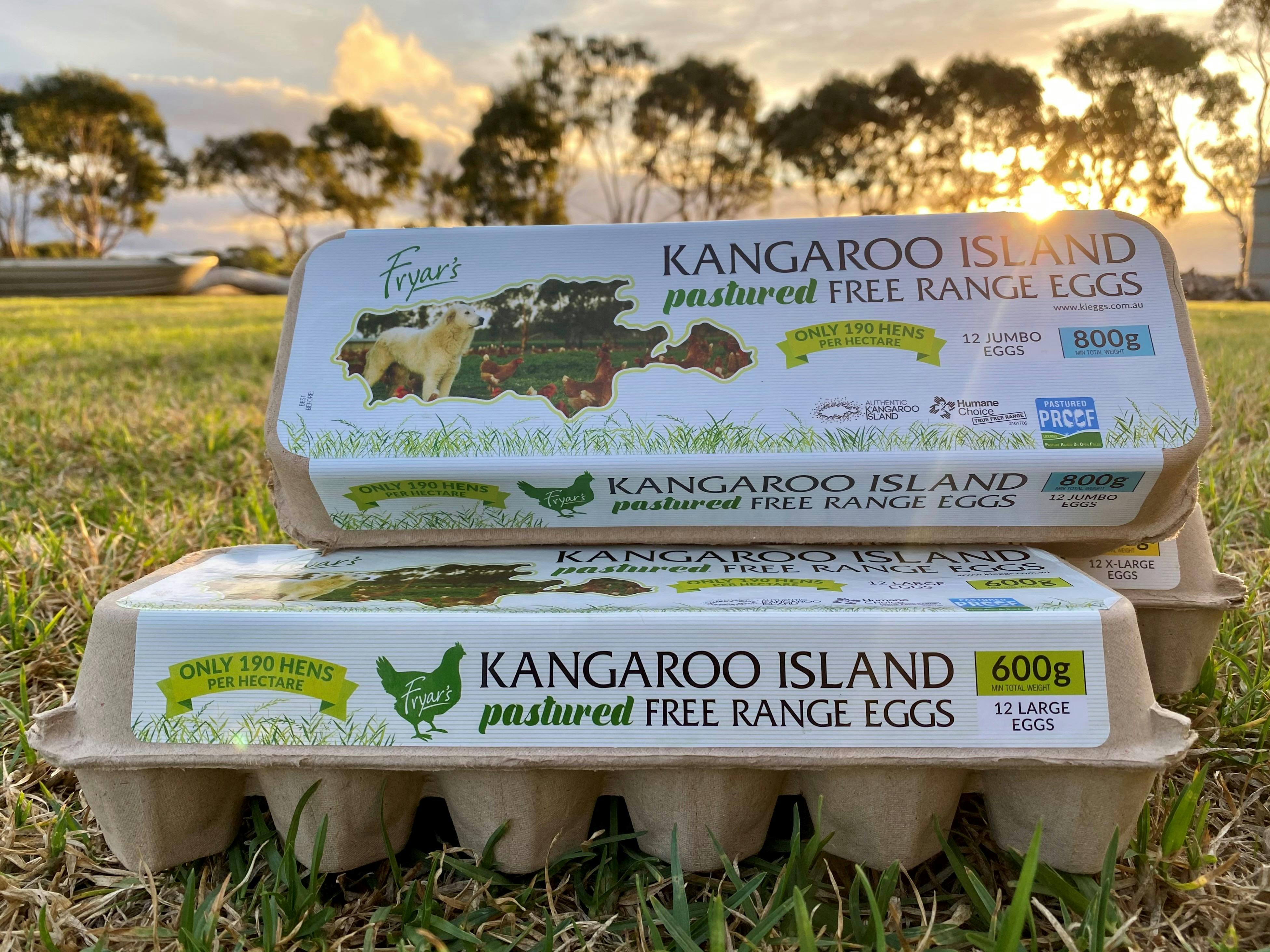 KI eggs sunset