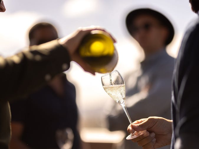 Grower Champagne Odyssey with Robert Walters