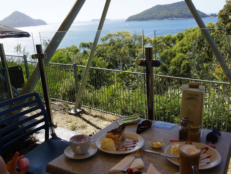 Tea in Nelsons Bay