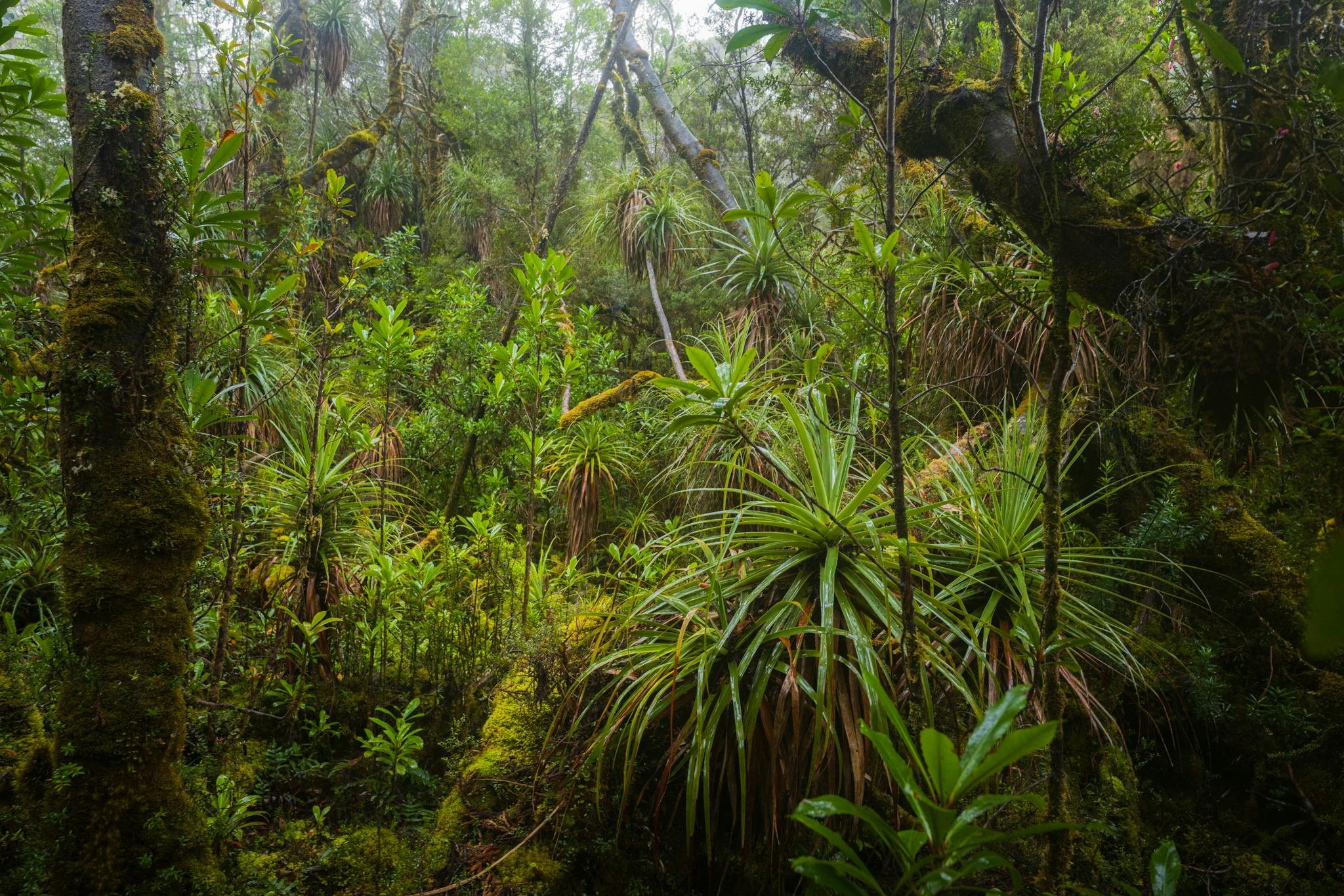Tasmanian Photography Tours