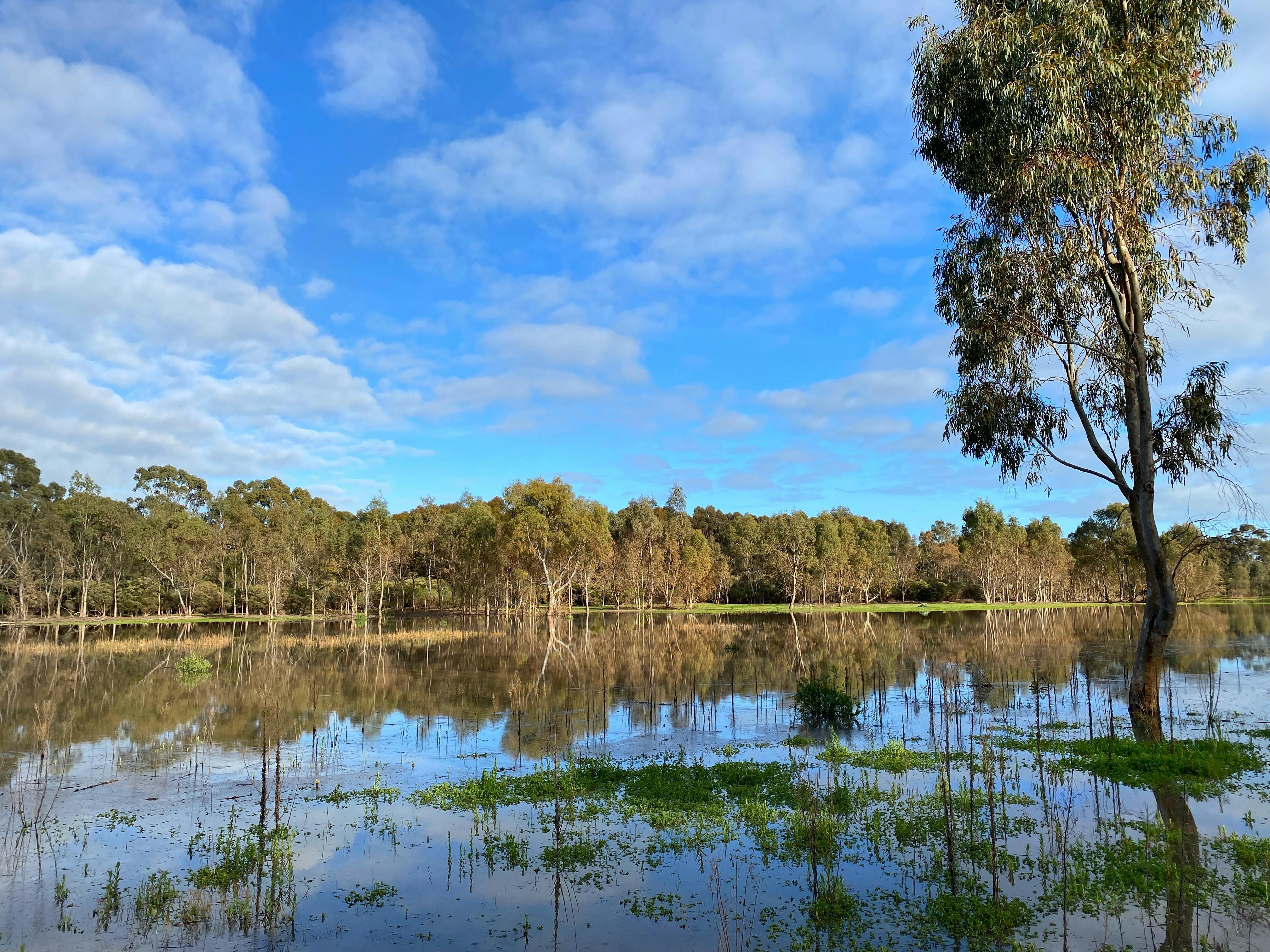 Serendip Lake