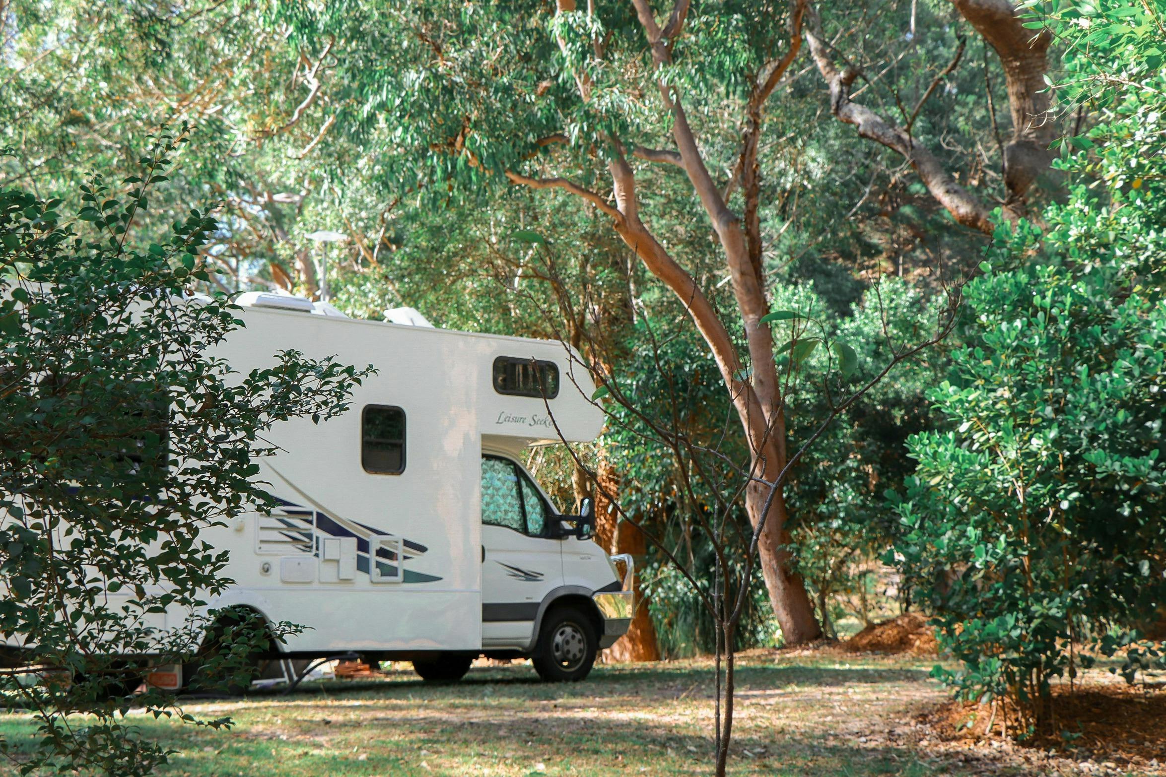 原生林に囲まれた人里離れたキャンプ場に駐車されたキャンピングカー