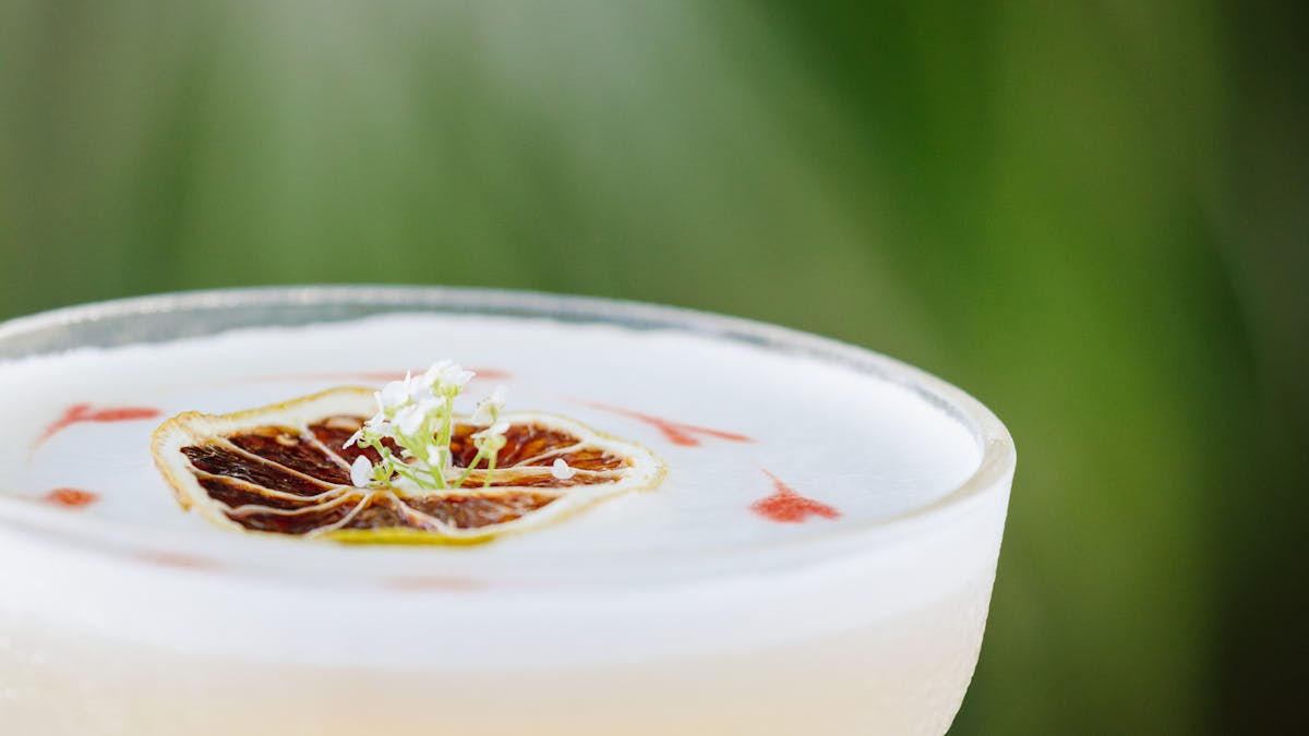 salted rim margarita with dried lemon garnish