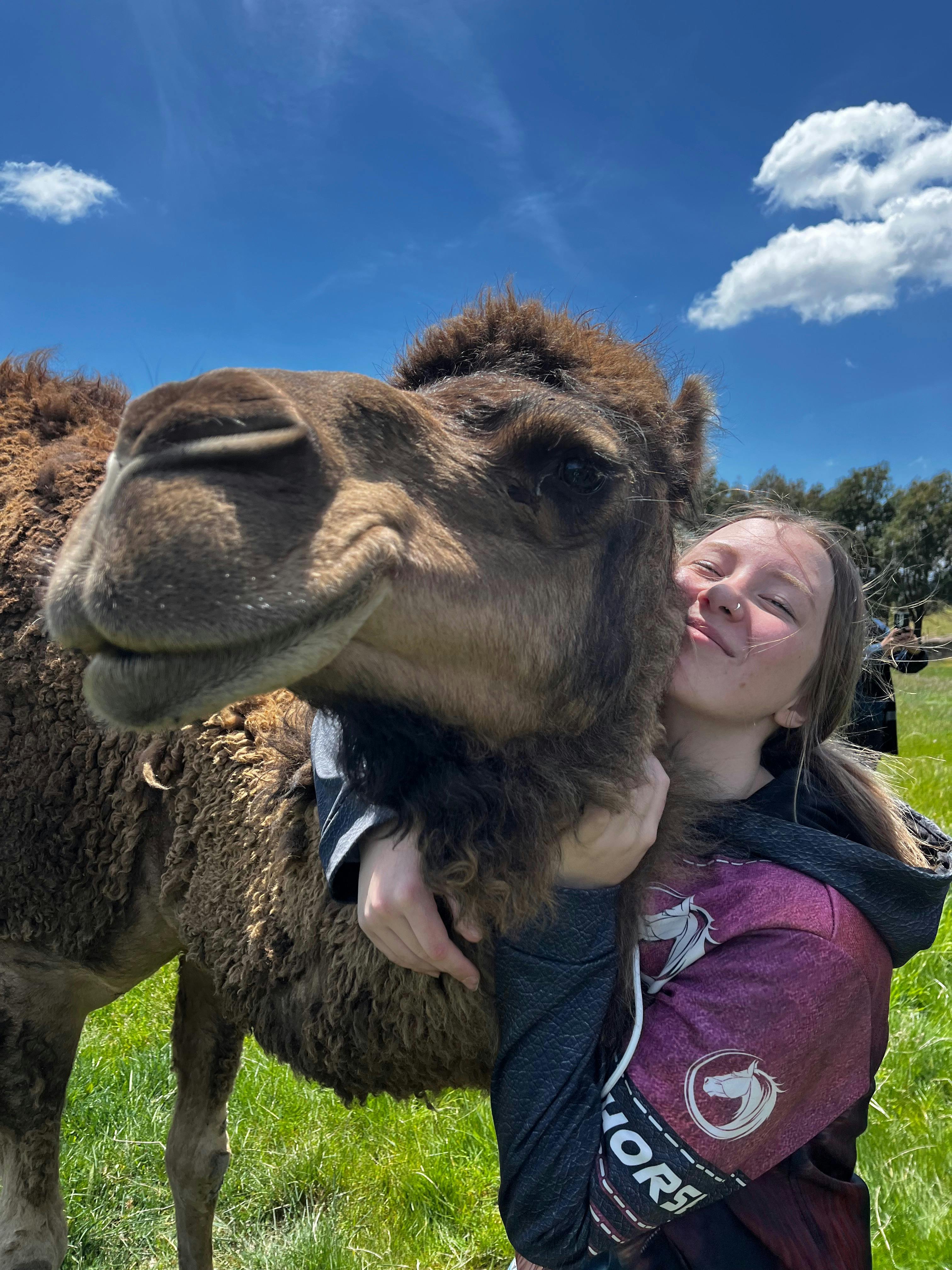 Camel cuddles