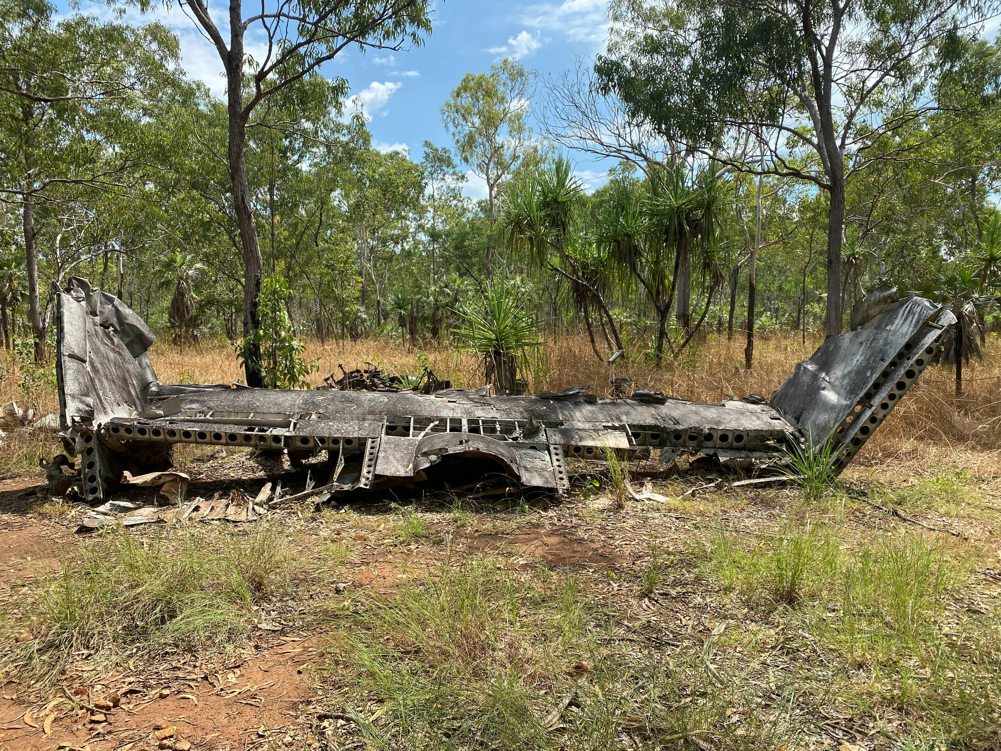 Half Day Mandorah Explorer