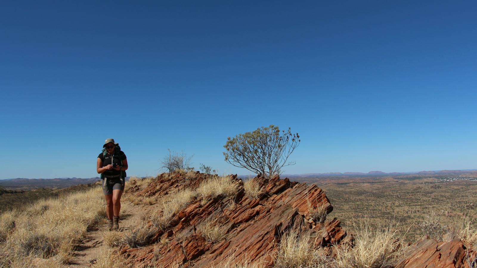Larapinta Trail With Australian Walking Holidays / World Expeditons