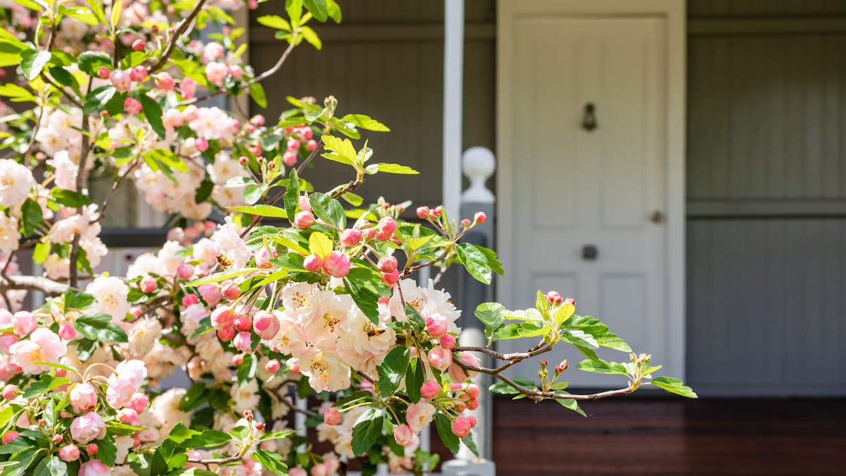 Apple Blossom Cottage front entry