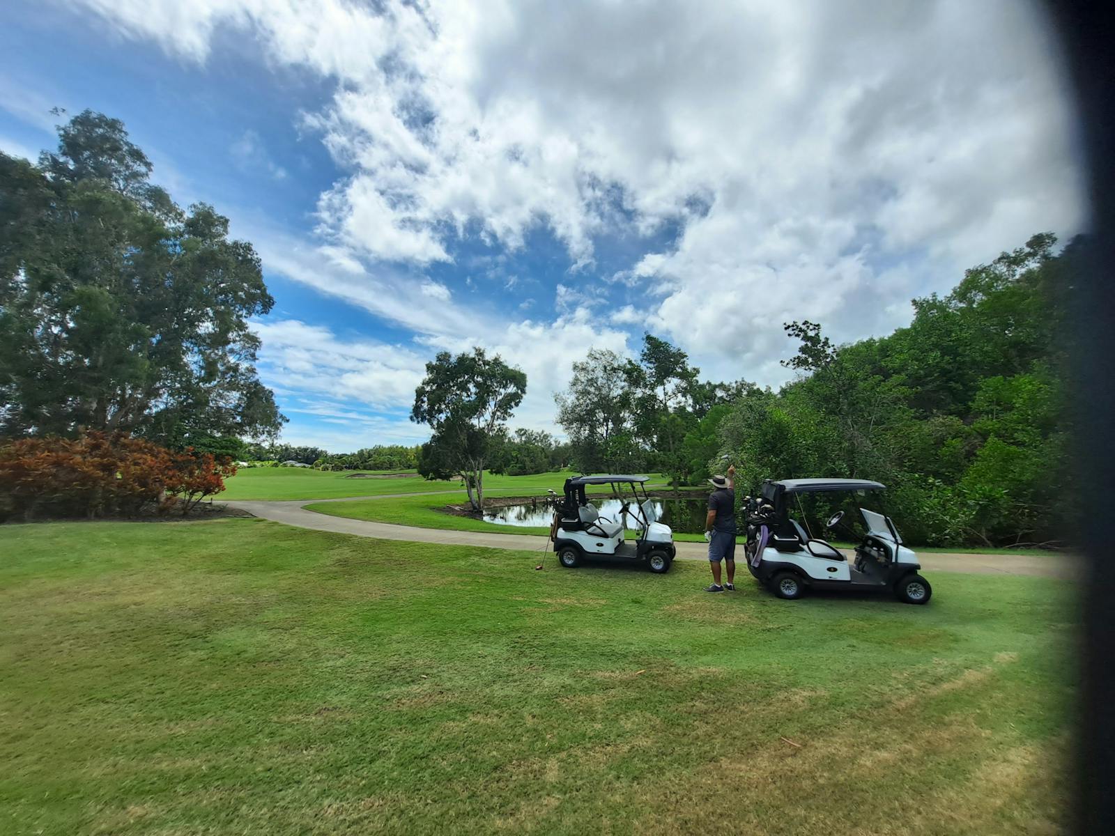 Motorized golf carts