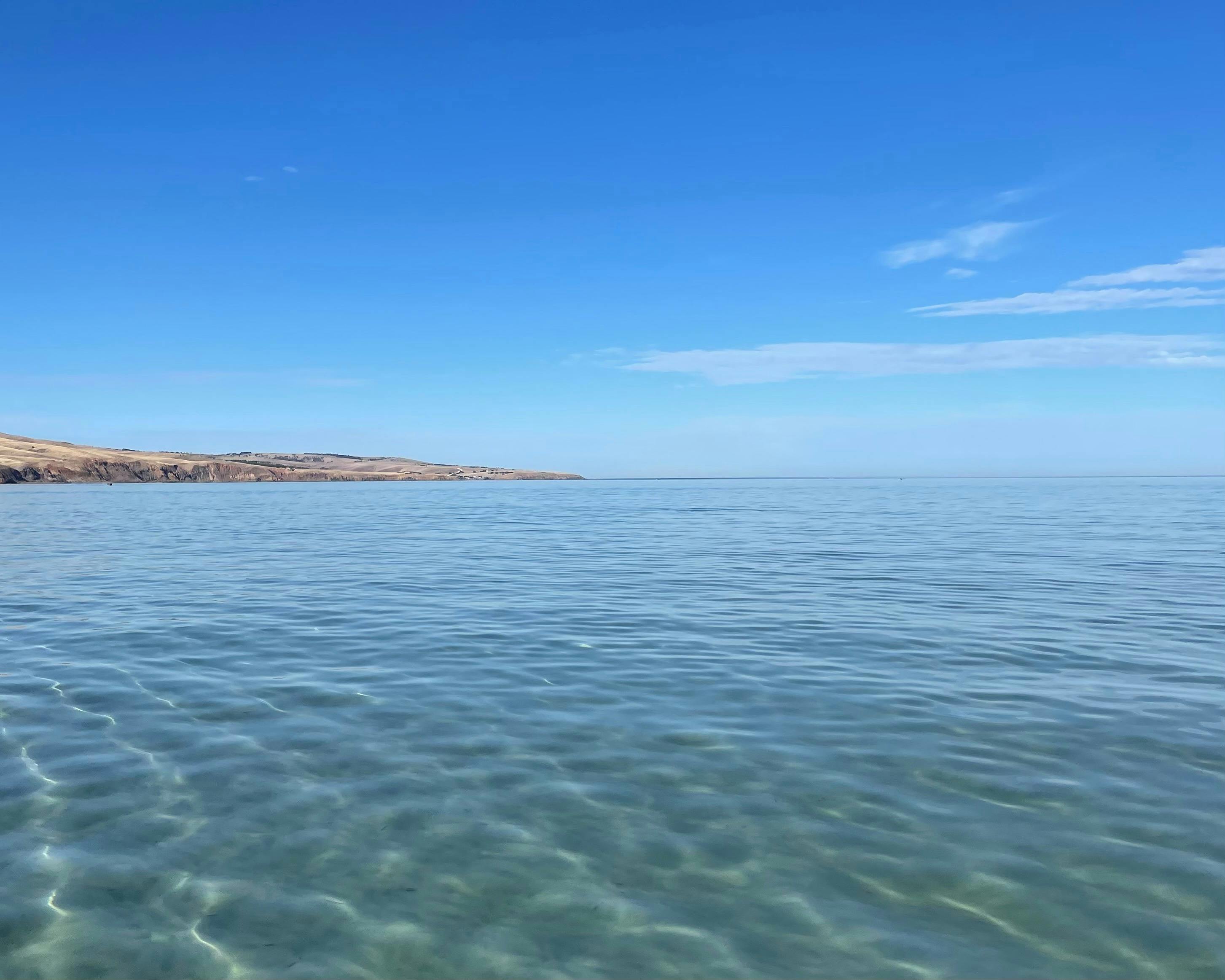absolute beachfront bar & dining
