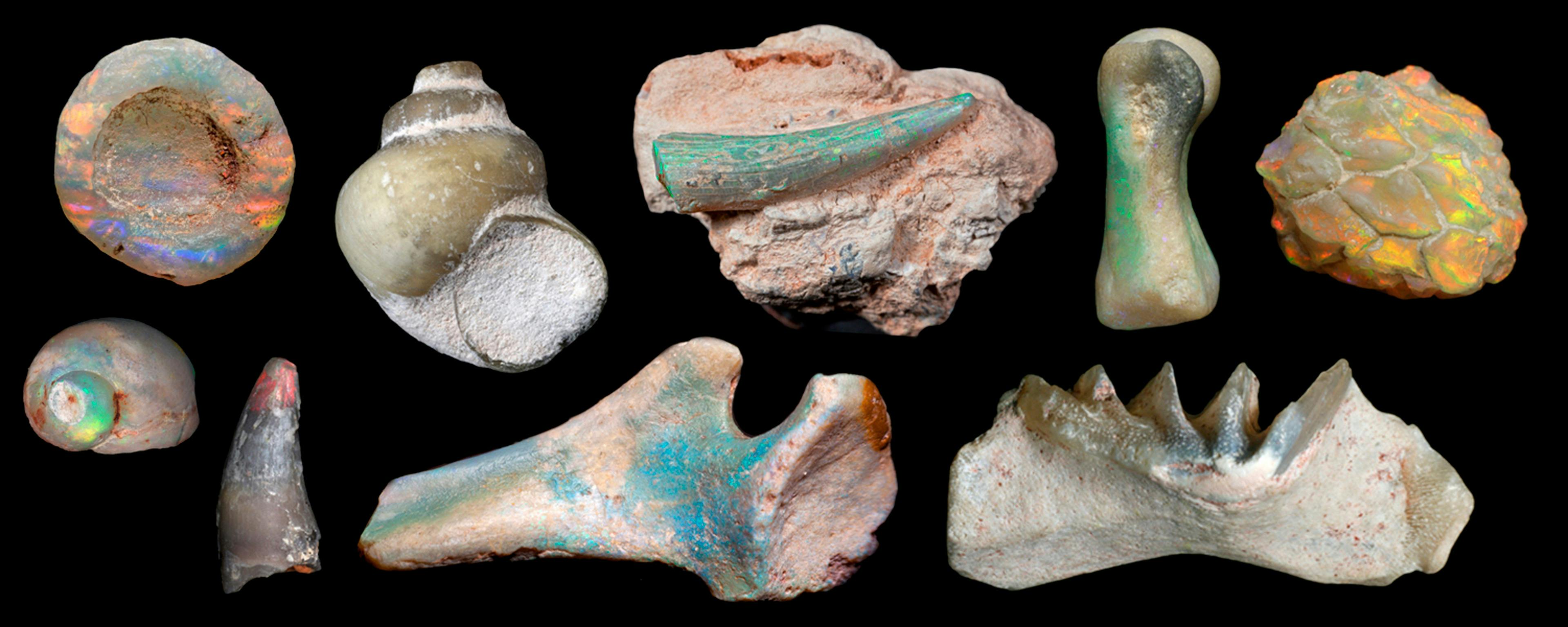 Australian Opal Centre