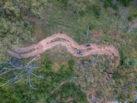 Melrose Town Trails - Duelling Banjos
