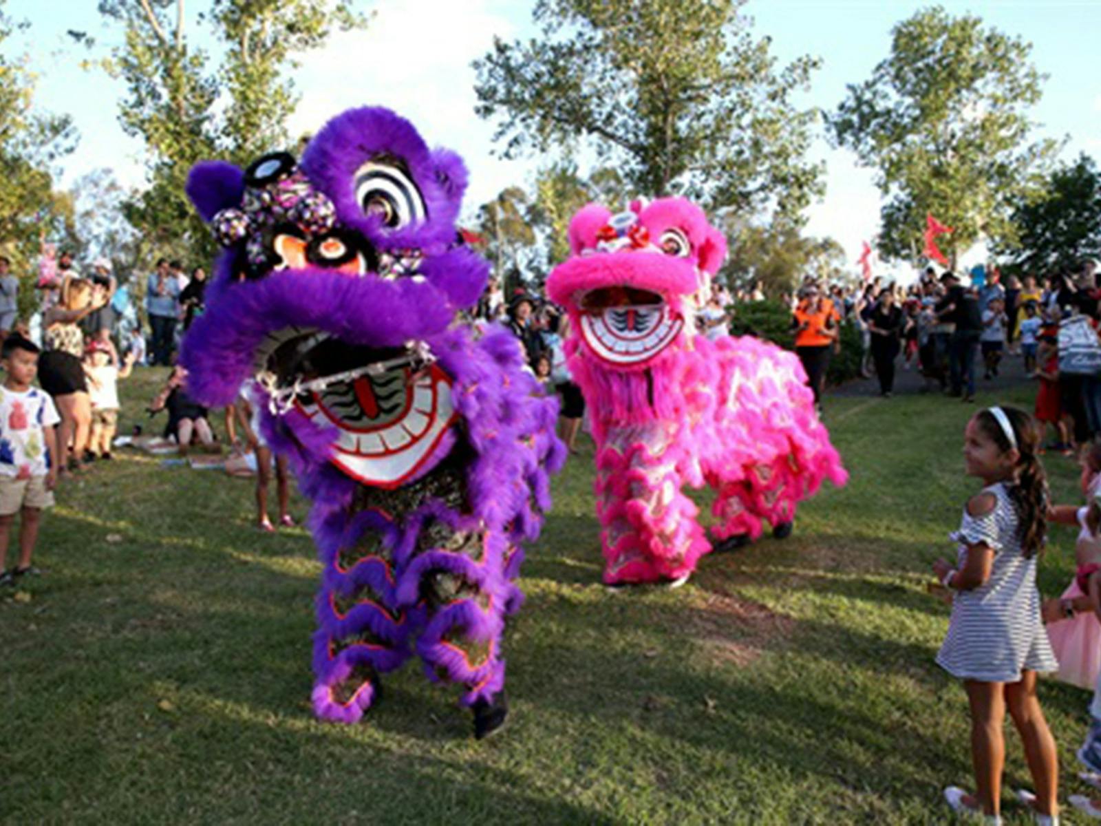 Image for Lunar New Year Celebrations: Doonside