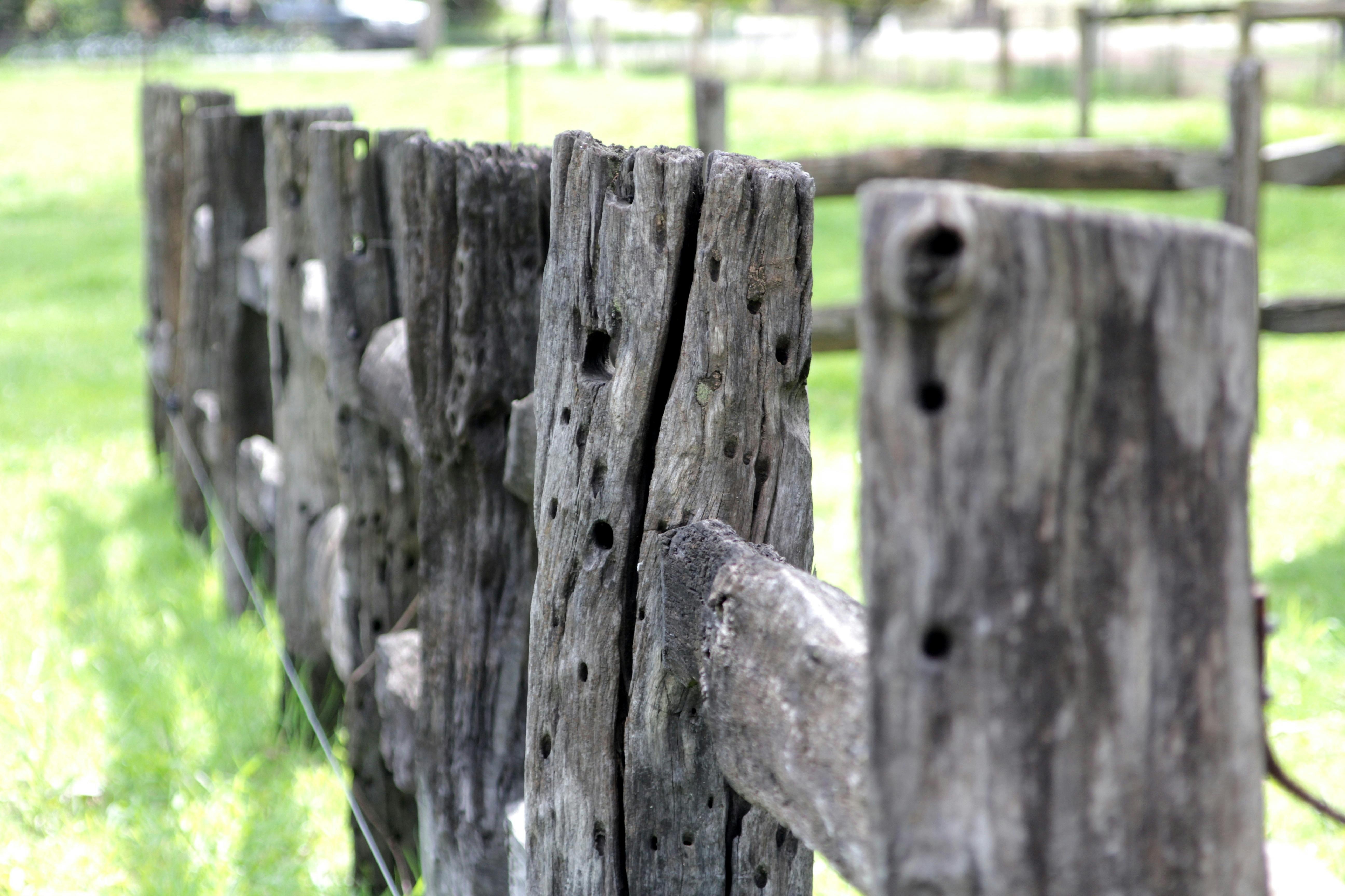 Jamieson heritage fence