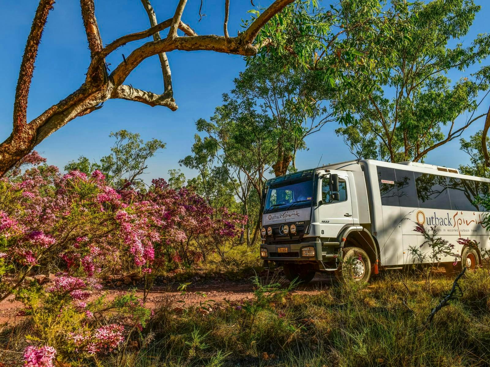 4WD Touring