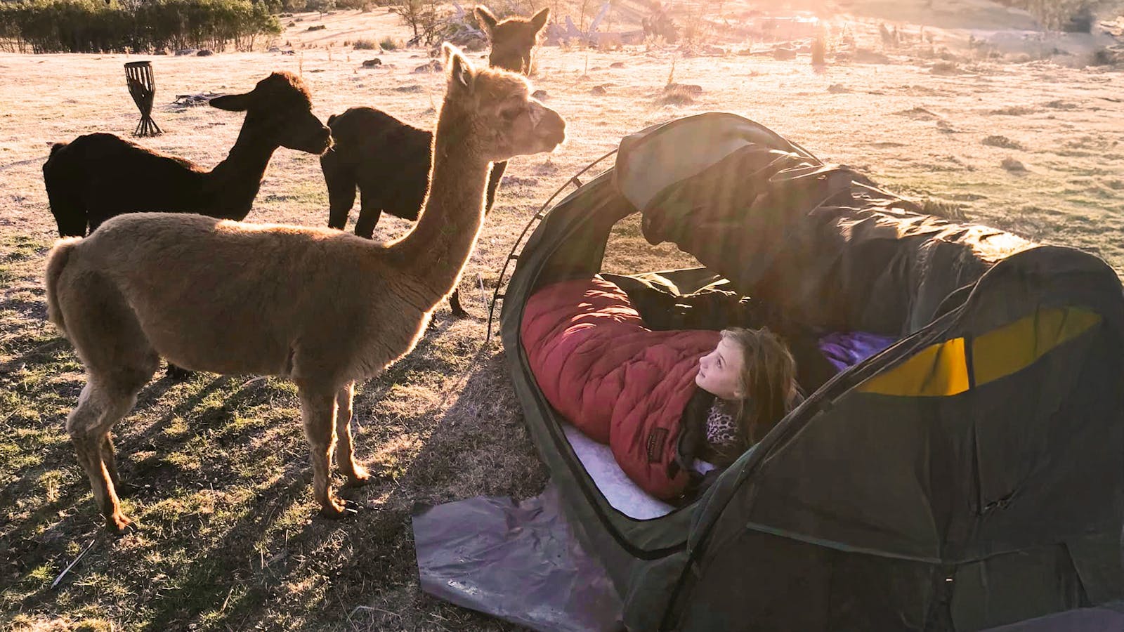 Self-contained camping experience