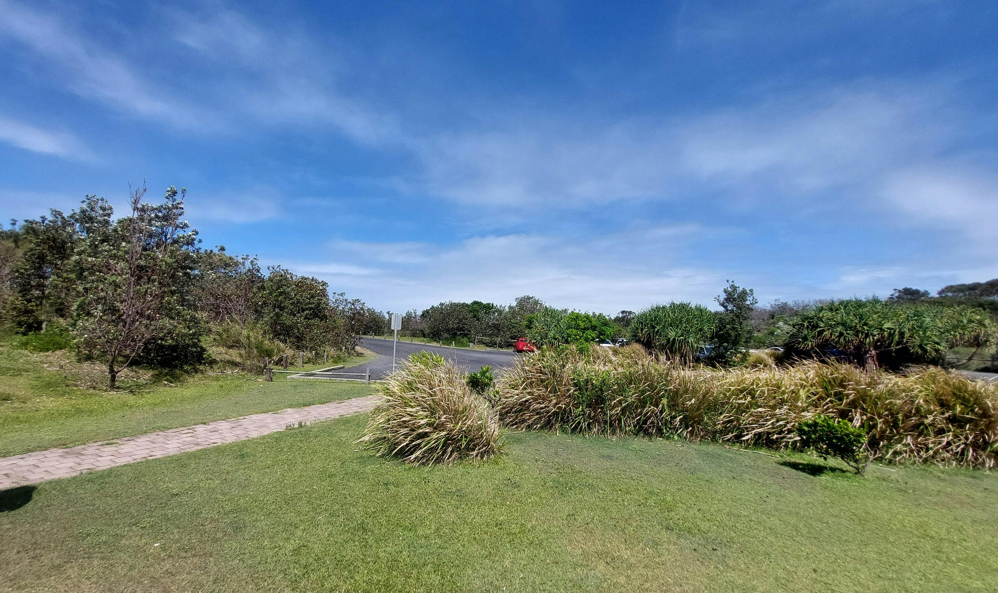 This is our site, looking south.