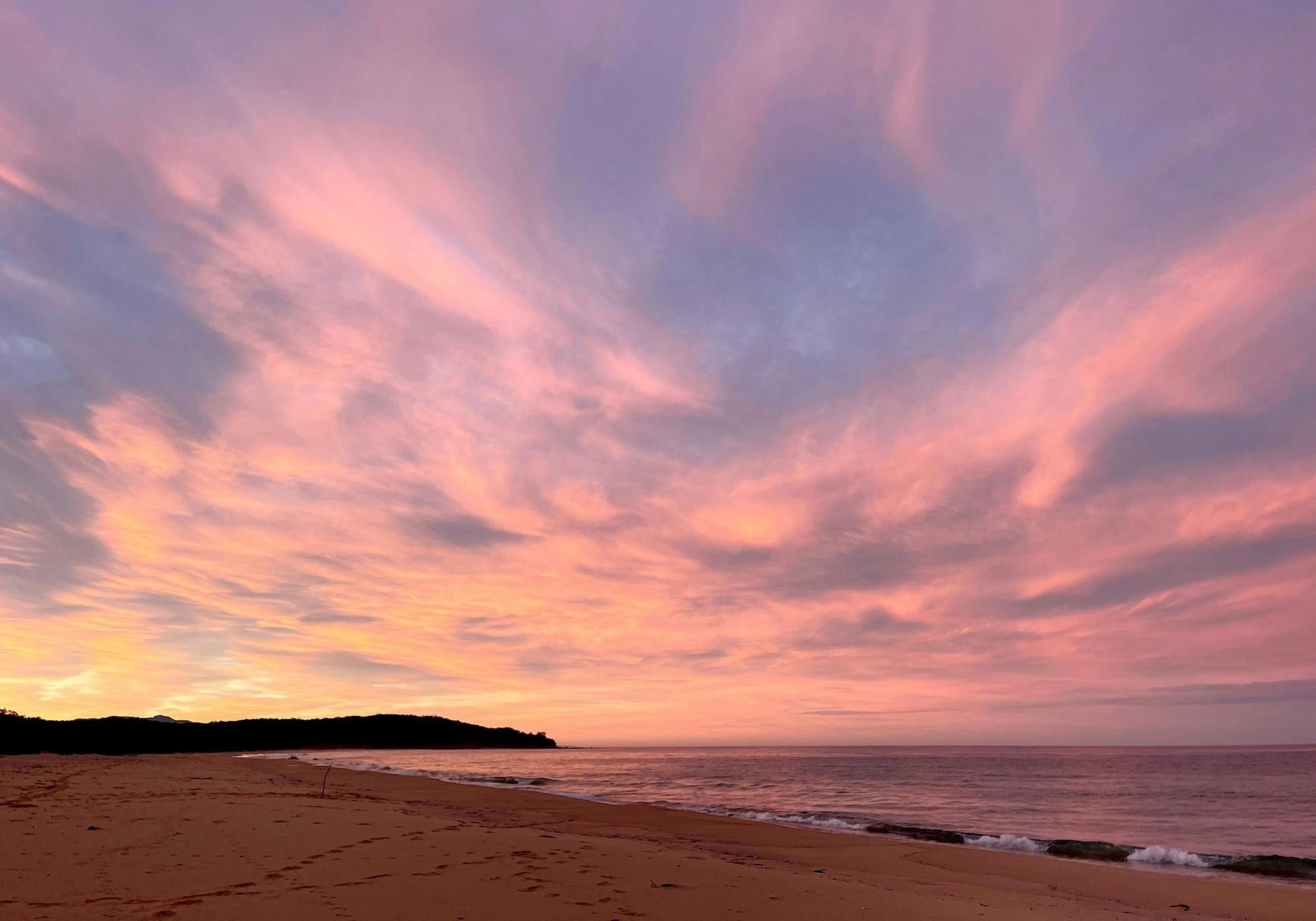 Watch the eagles overhead, the dolphins, the whales passing