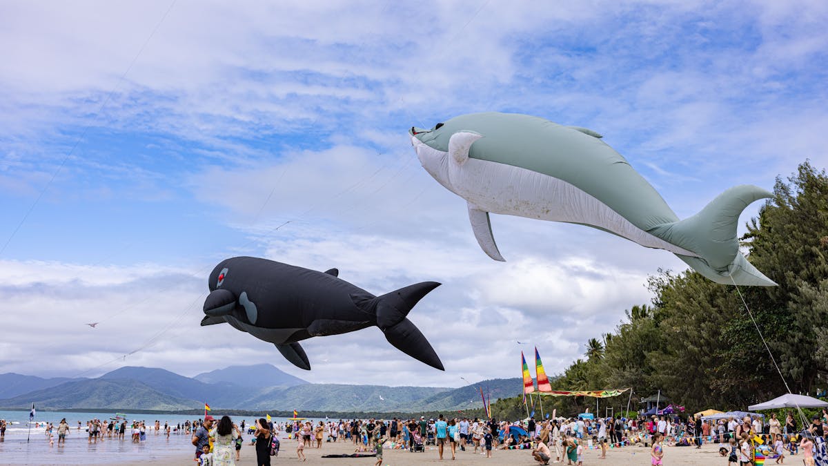Kites QLD