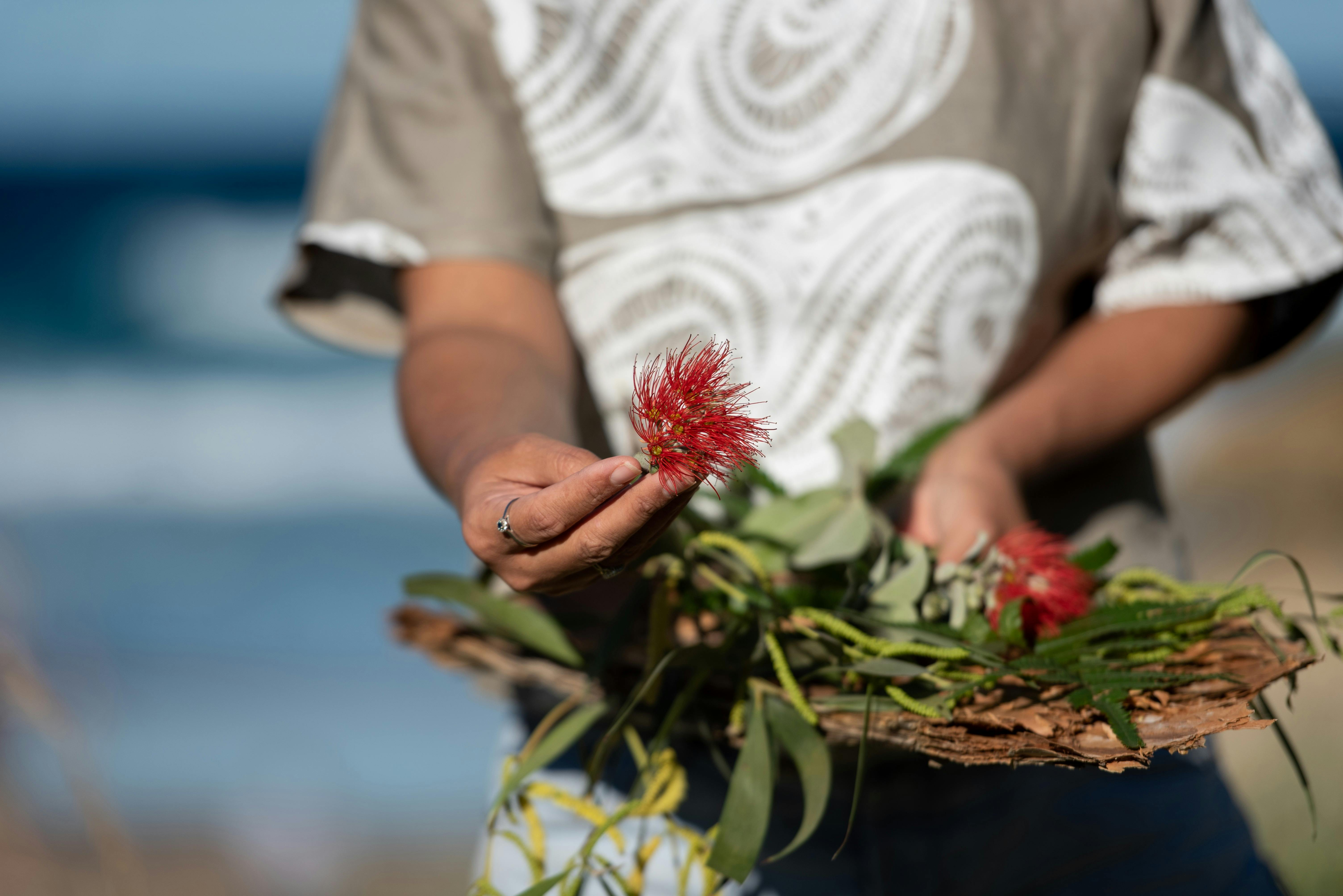 Whale Watching - Land Based Cultural Walking Tour
