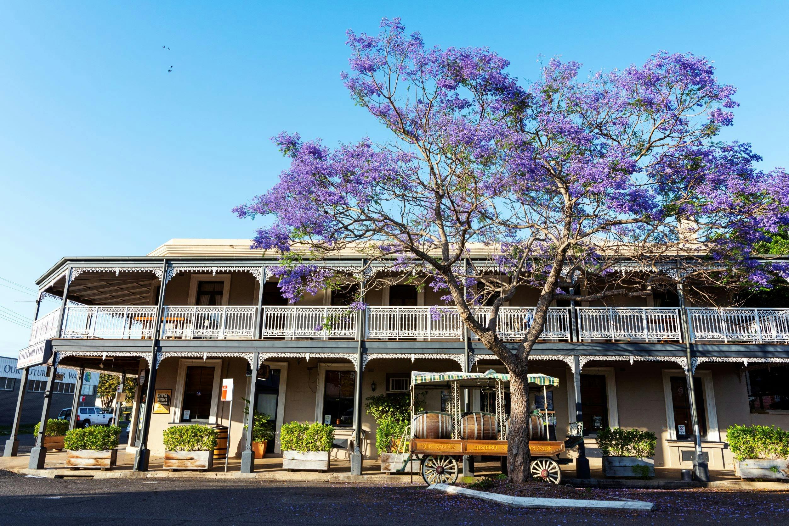 Grafton Roches Family Hotel