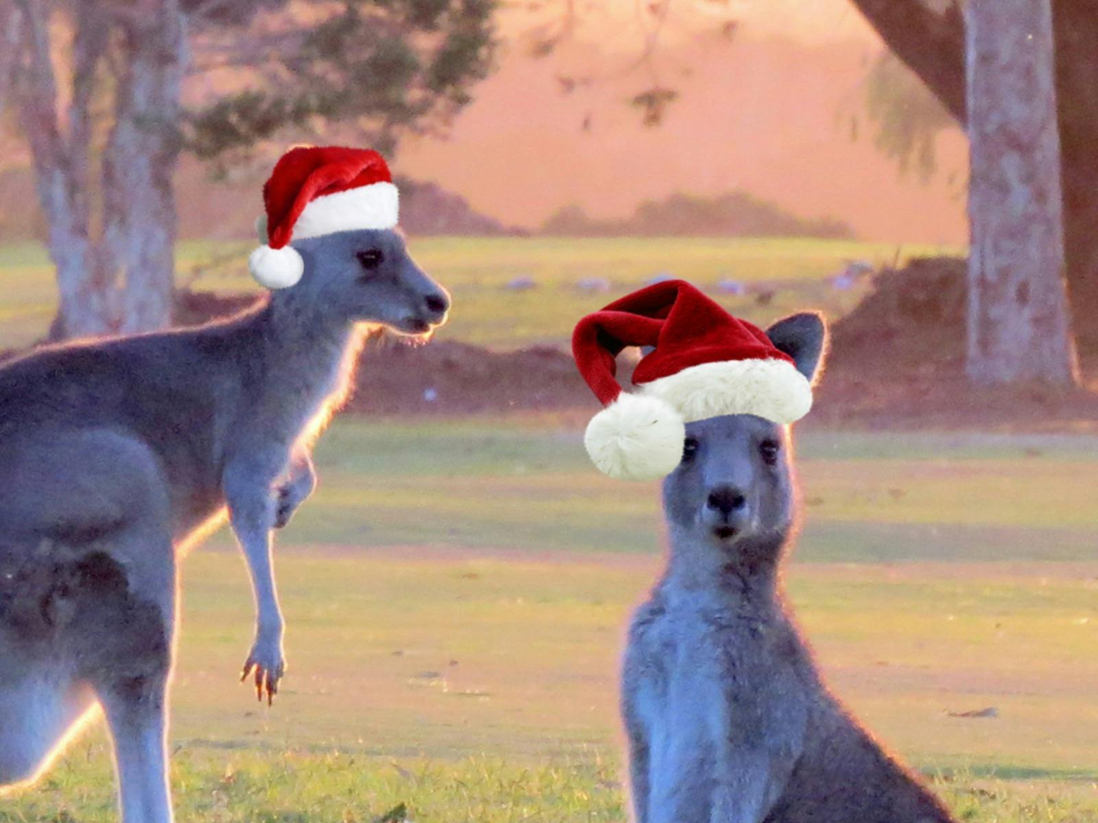 Corinella Christmas Carols
