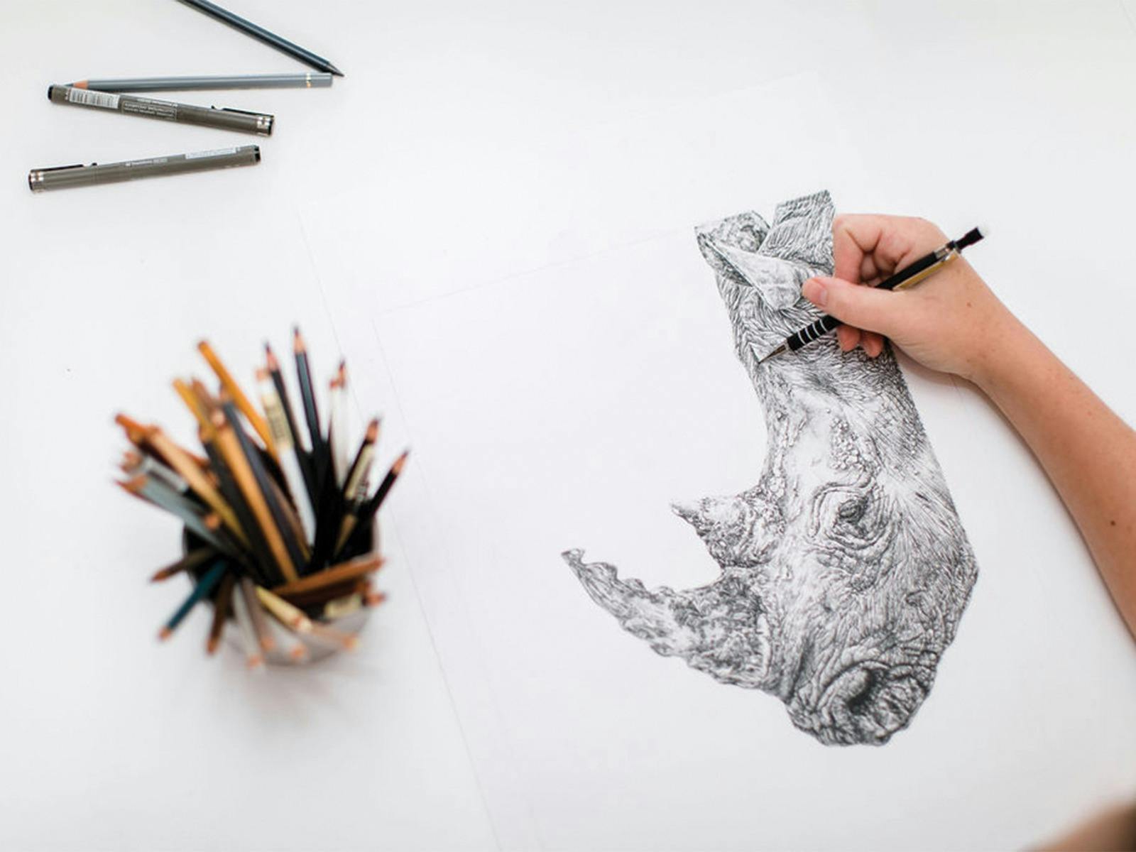 A hand holding a pencil, drawing a rhino. A cup of pencils on the left and pencils scattered around.