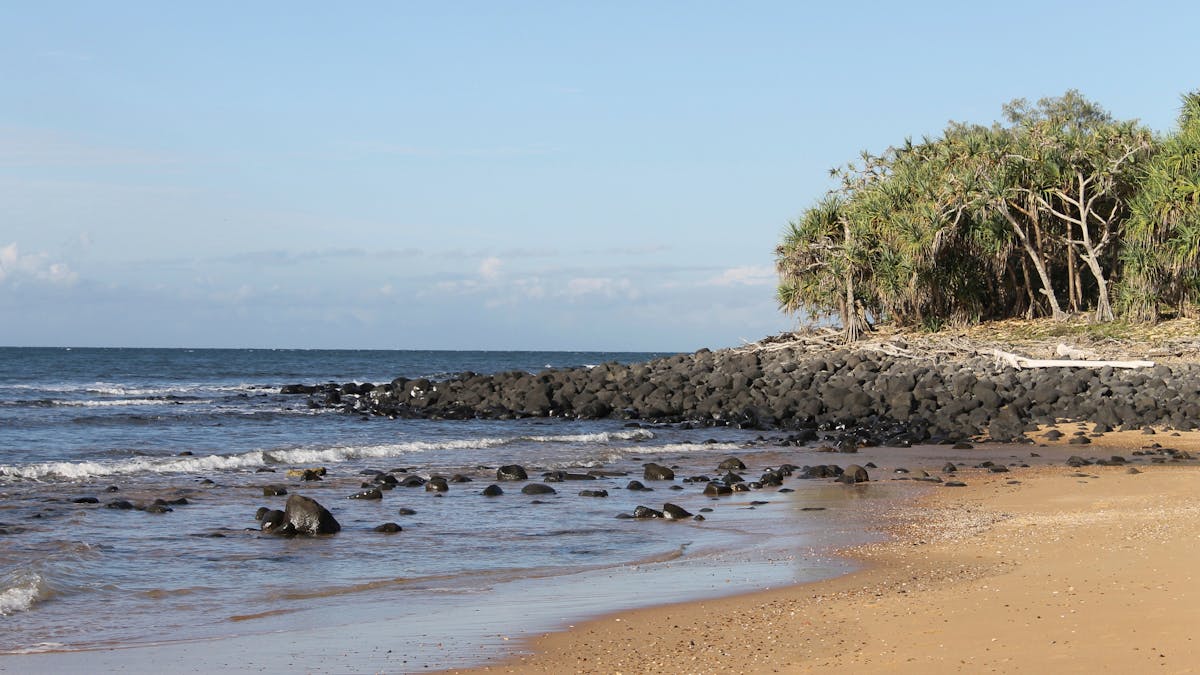 Mon Repos Beach