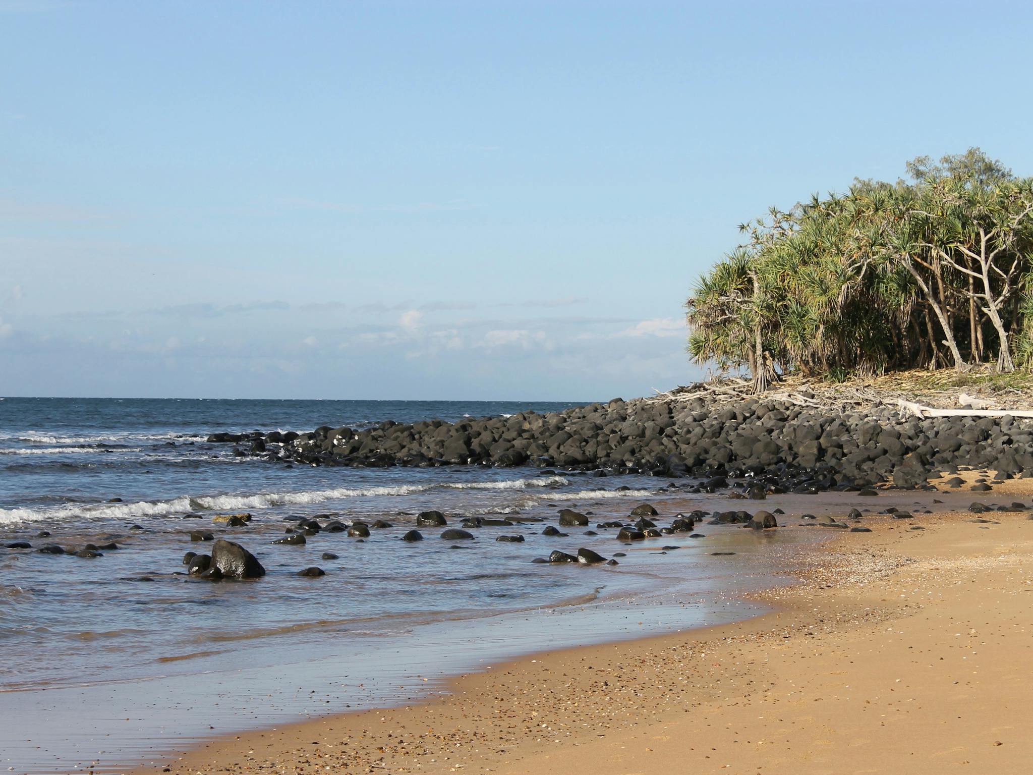 Mon Repos Beach