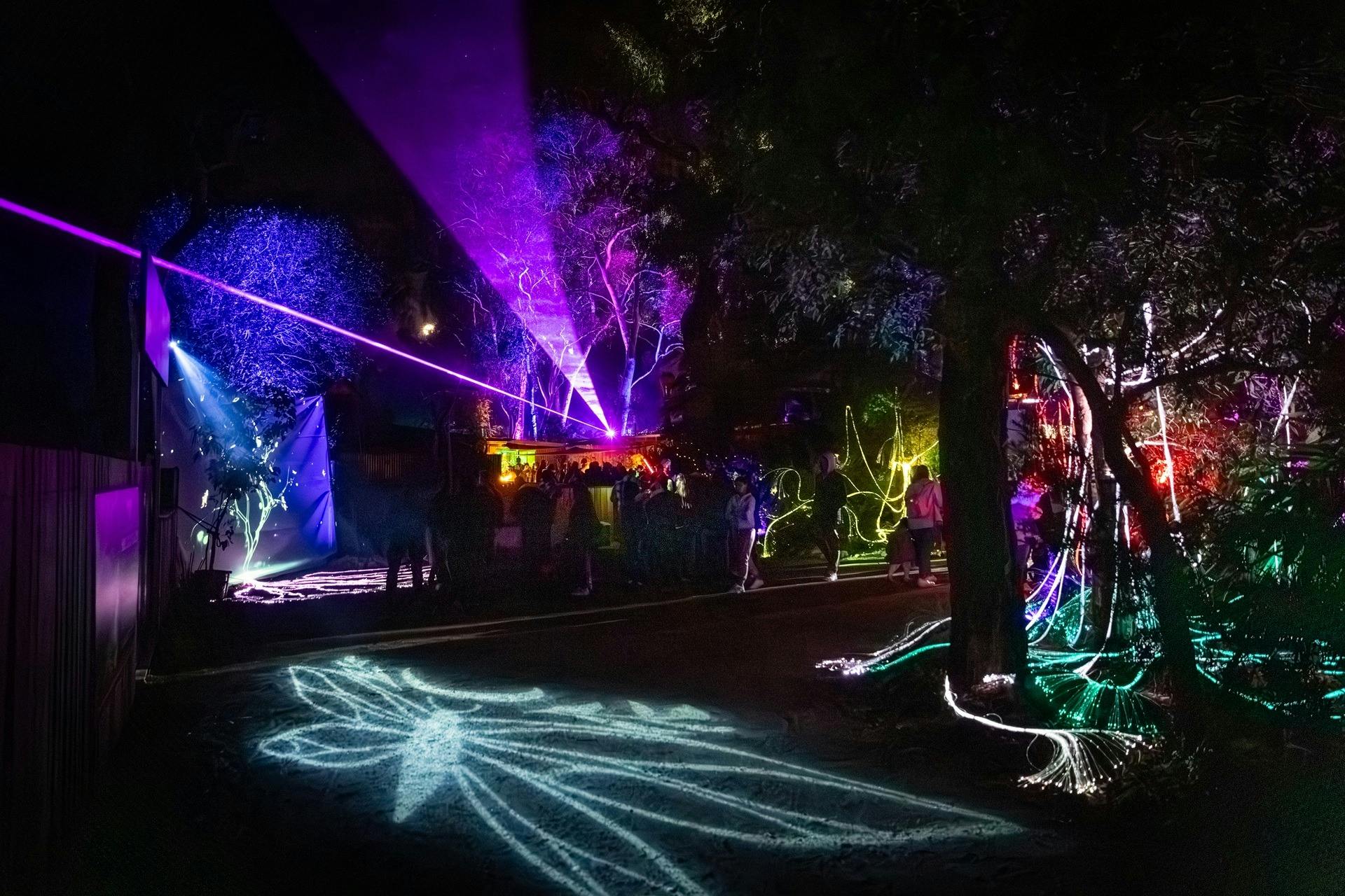 Enchanted Sanctuary Butterfly