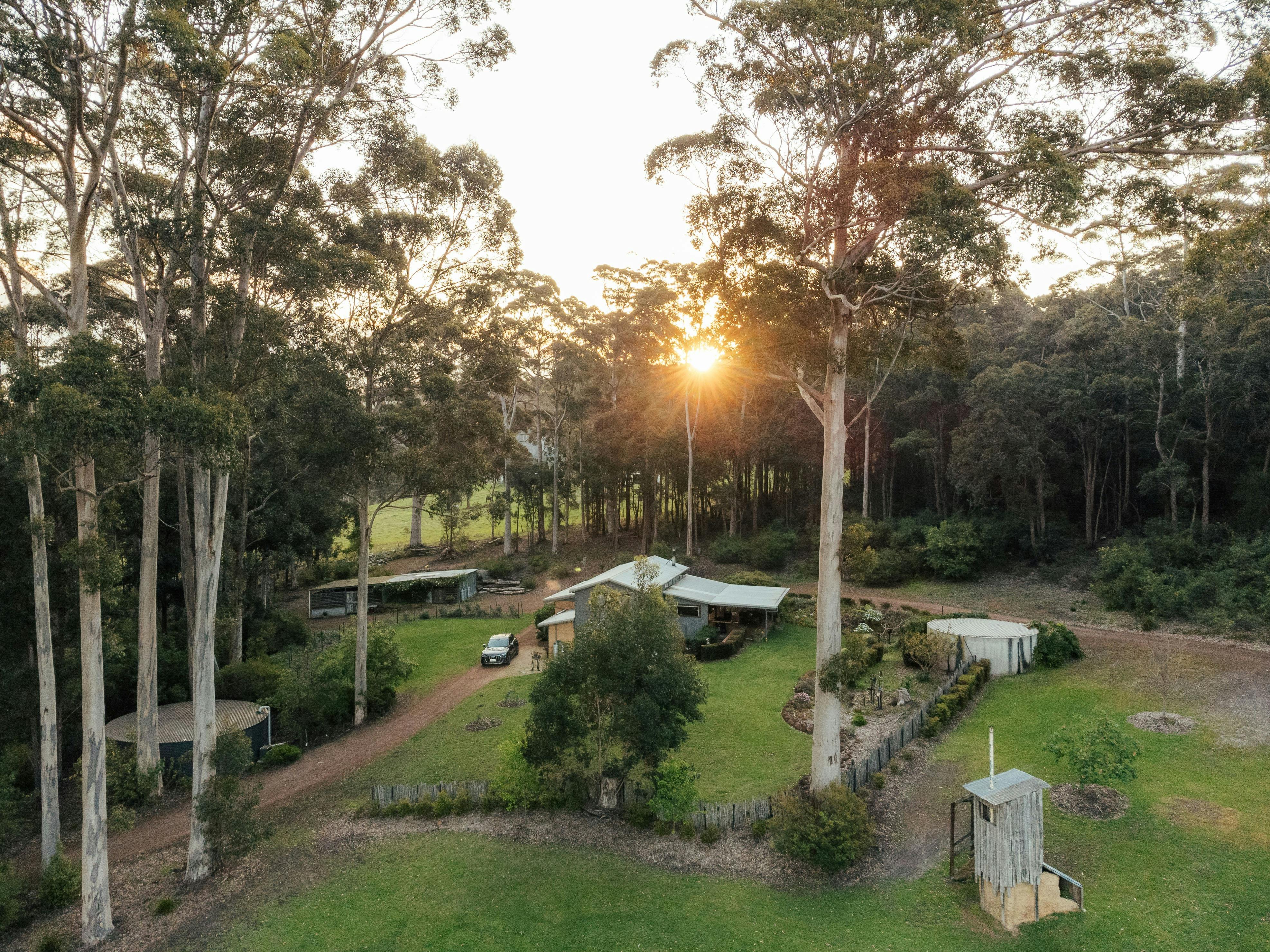 Experience enchantment at The Floating Forest. Book now.