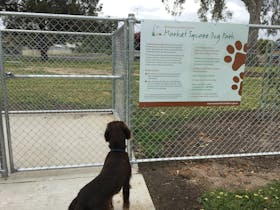 Market Square Recreation Area - dog park