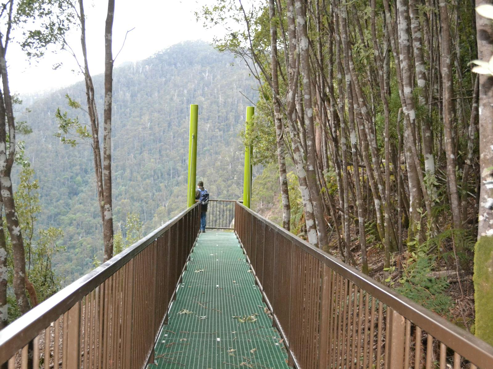 Leven Canyon Edge Lookout