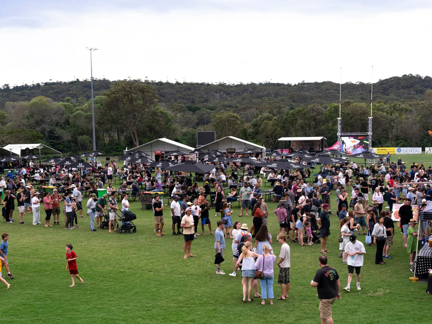 Meat Noosa BBQ Festival – 2026