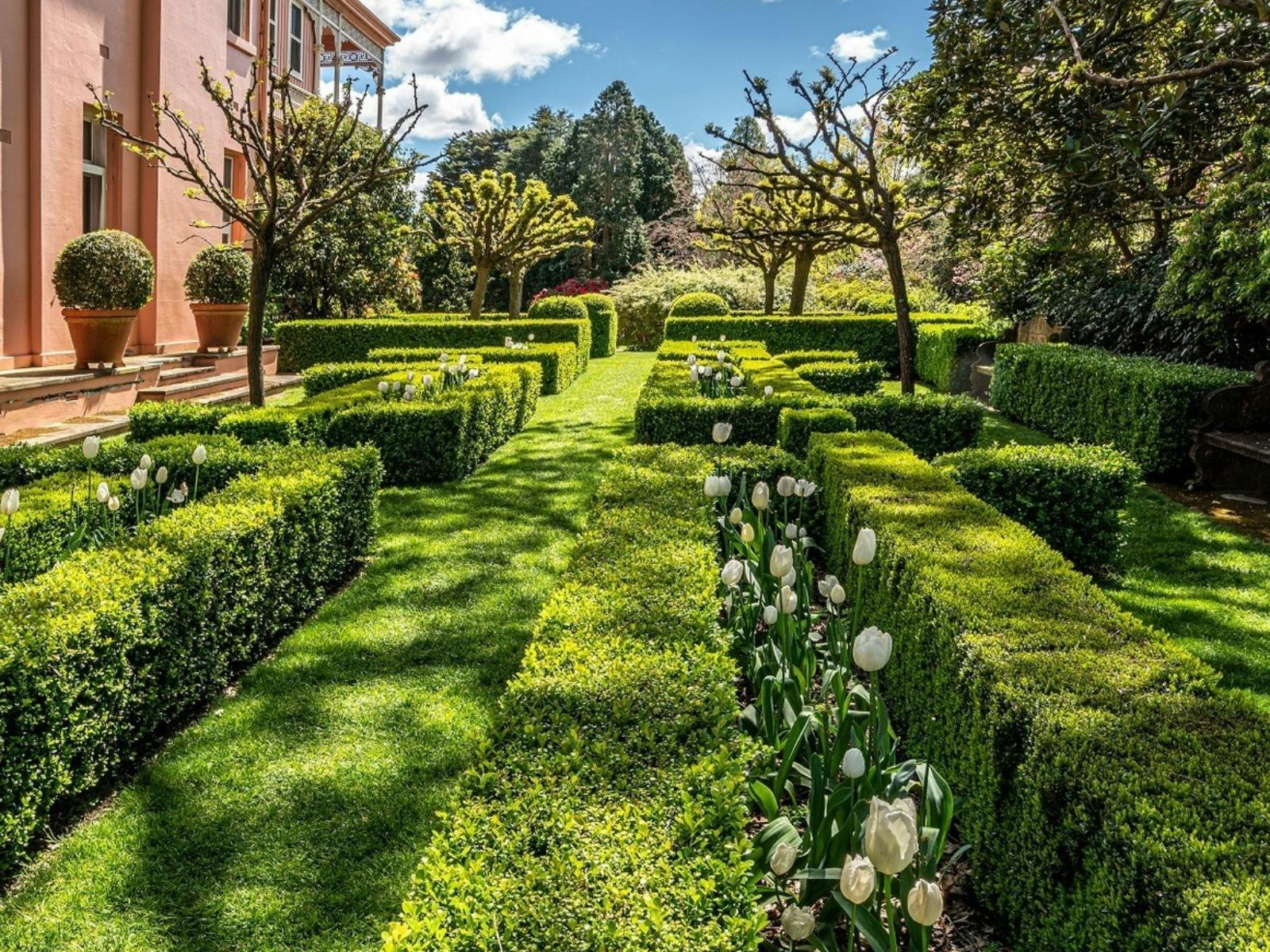 Rows of box hedges lined with white tulips. A pink building stands to the left.