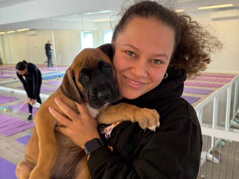 Image for Puppy Yoga Adelaide - Every Weekend with Yoga Paws
